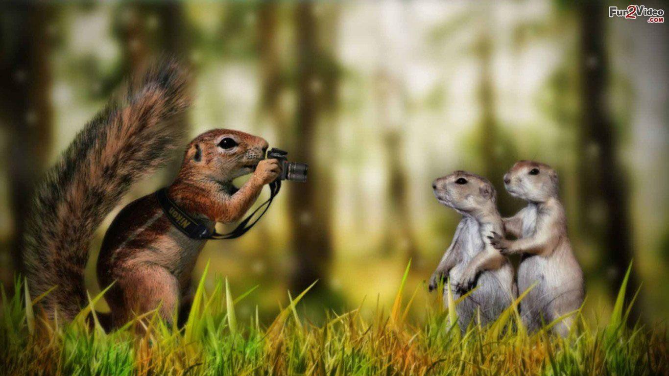 1366x768 Comedy Wallpaper HD