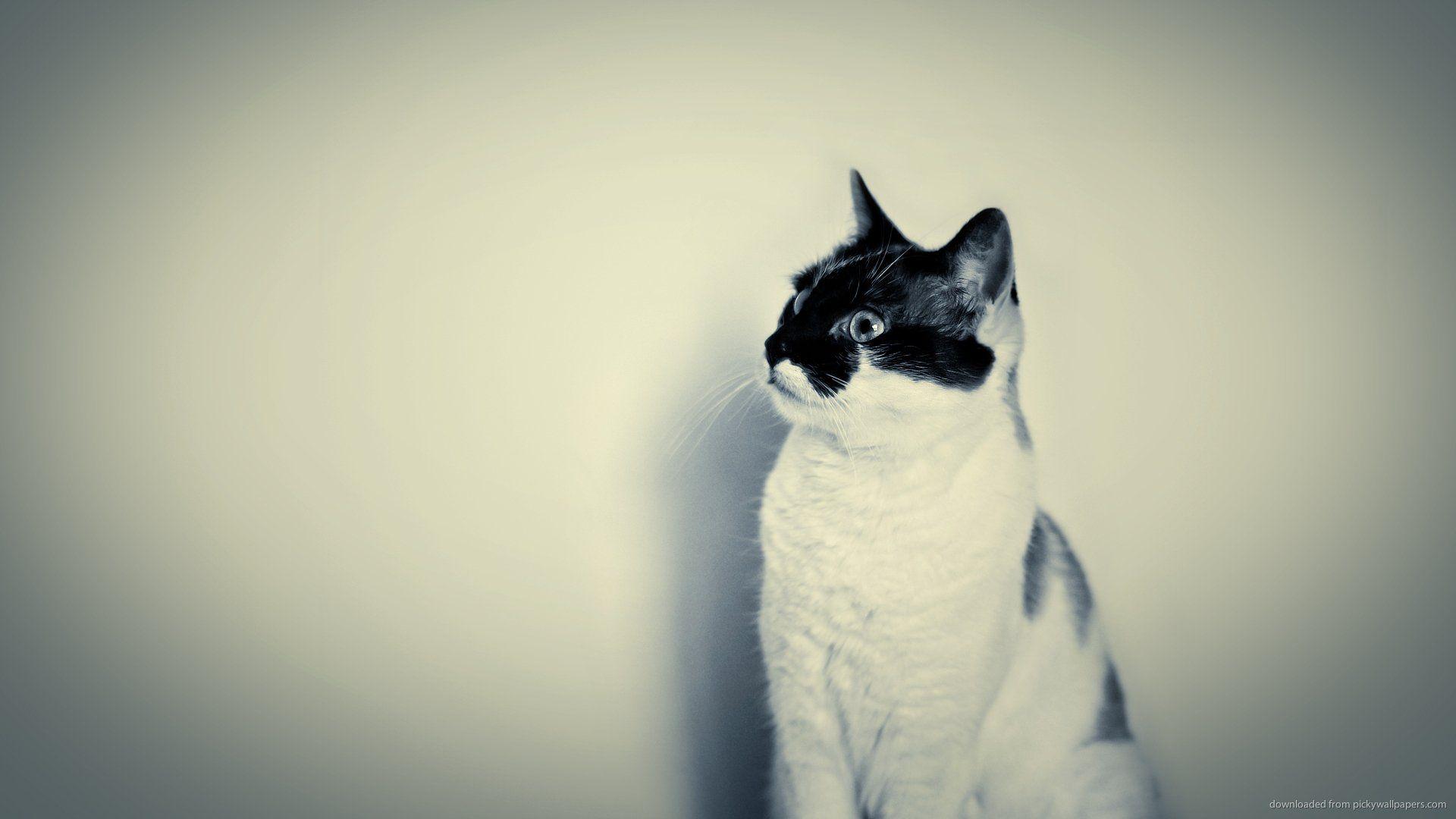 1920x1080 Hipster