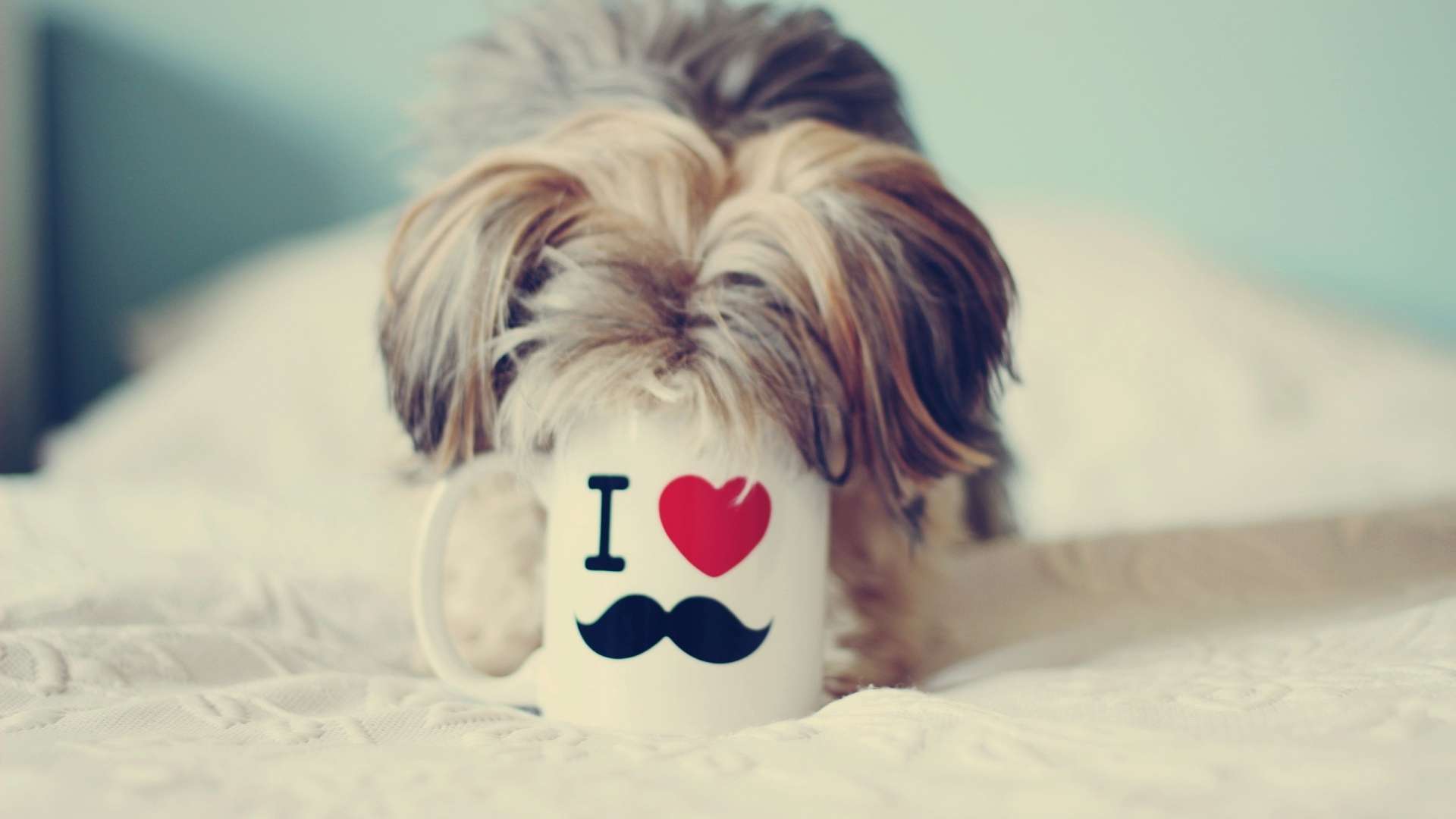 1920x1080 Mustache Wallpaper HD