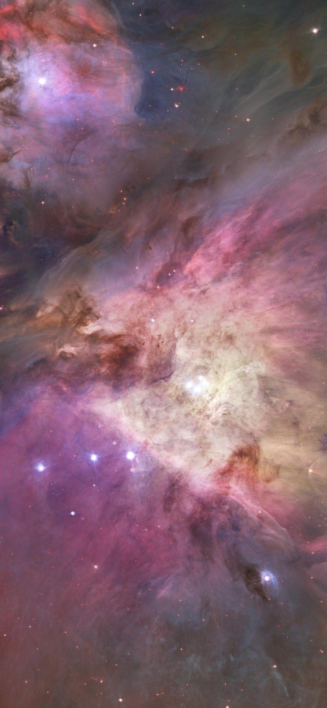 1125x2436 Orion Nebula iPhone XS, iPhone iPhone X HD 4k Wallpaper, Image, Background, Photo and Picture