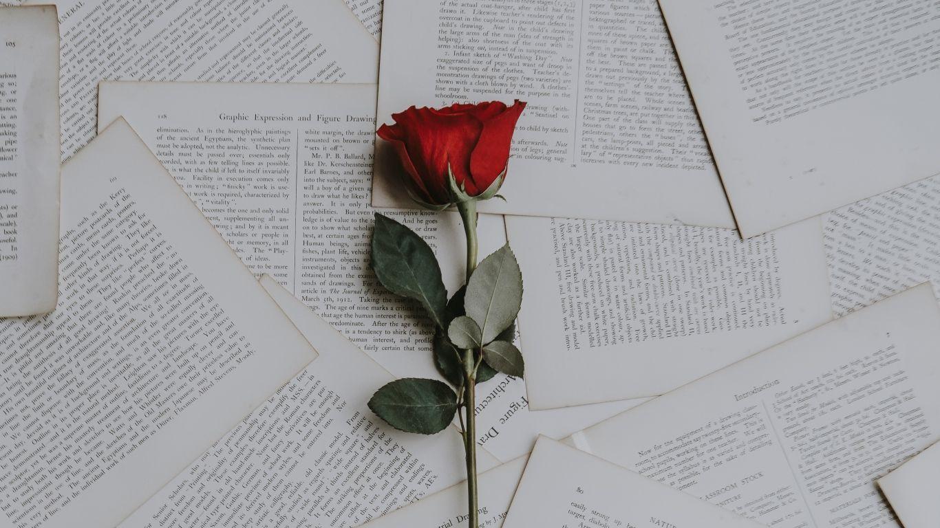 1366x768 Wallpaper rose, books, texts. Cute laptop wallpaper
