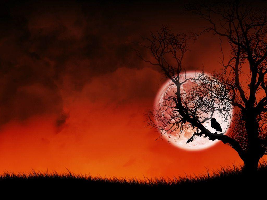 1024x768 Sad Desktop Background. Beautiful