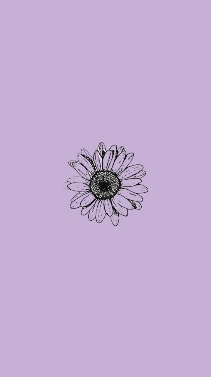 Free download Cute Purple Aesthetic iPhone 7 Wallpaper HD 2021 Phone  Wallpaper HD 1080x1920 for your Desktop Mobile  Tablet  Explore 29  Cool Purple Aesthetic Wallpapers  Cool Purple Backgrounds Cool