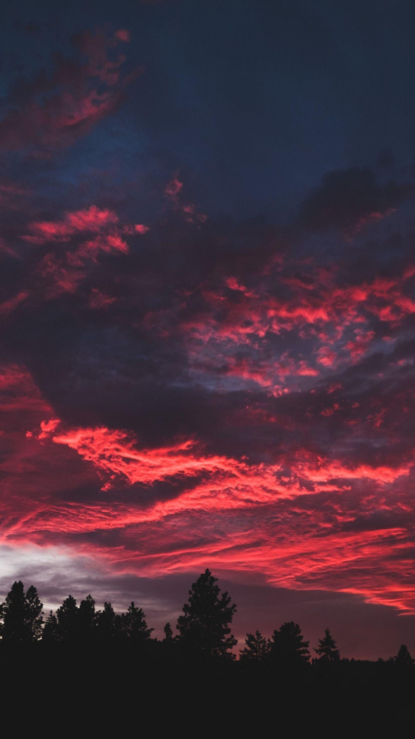 1440x2560 Download 1440x2560 wallpaper colorful, clouds, sunset, dark, tree