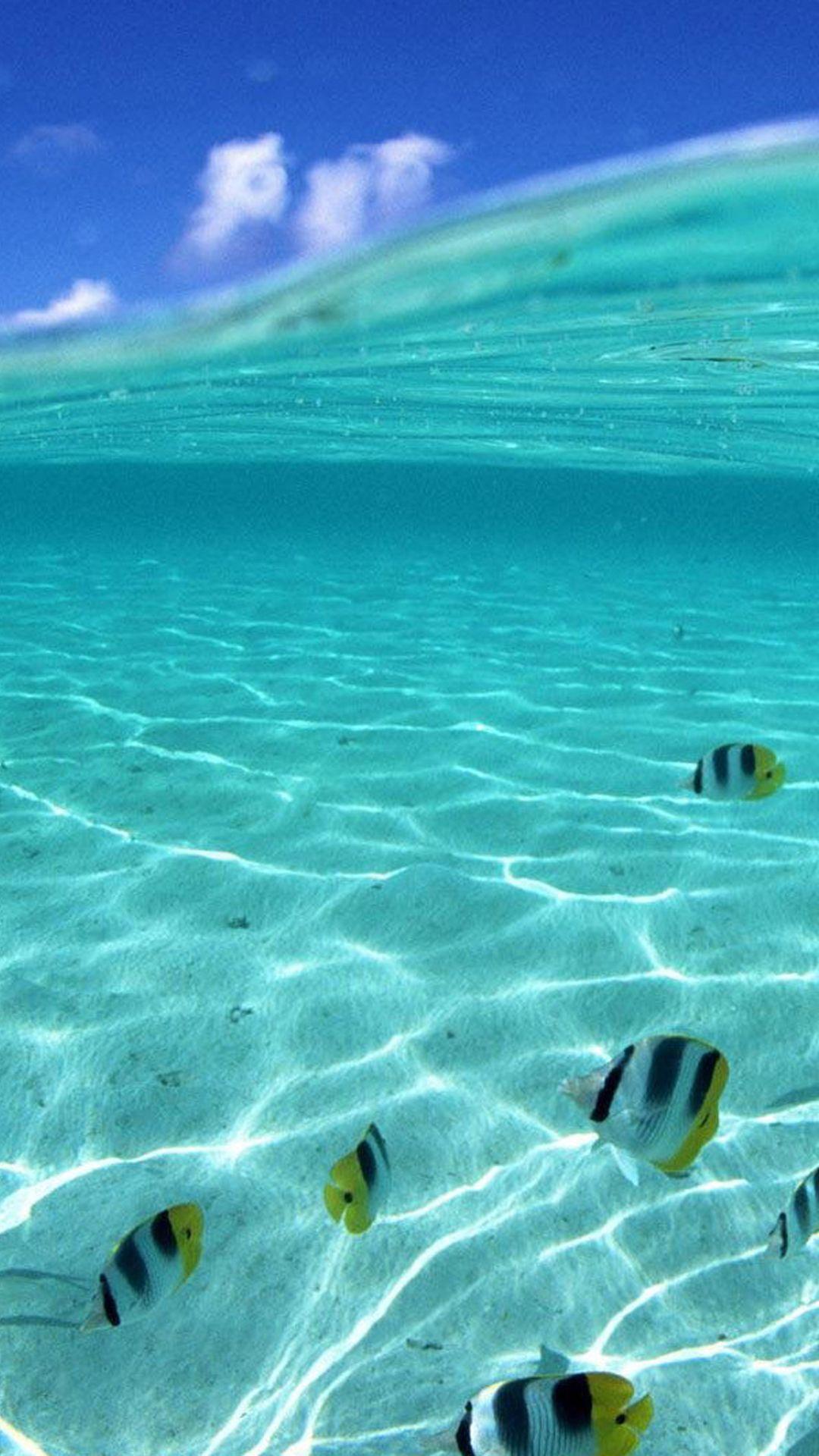 1080x1920 Free download Half Underwater Smartphone HD Wallpaper GetPhotos