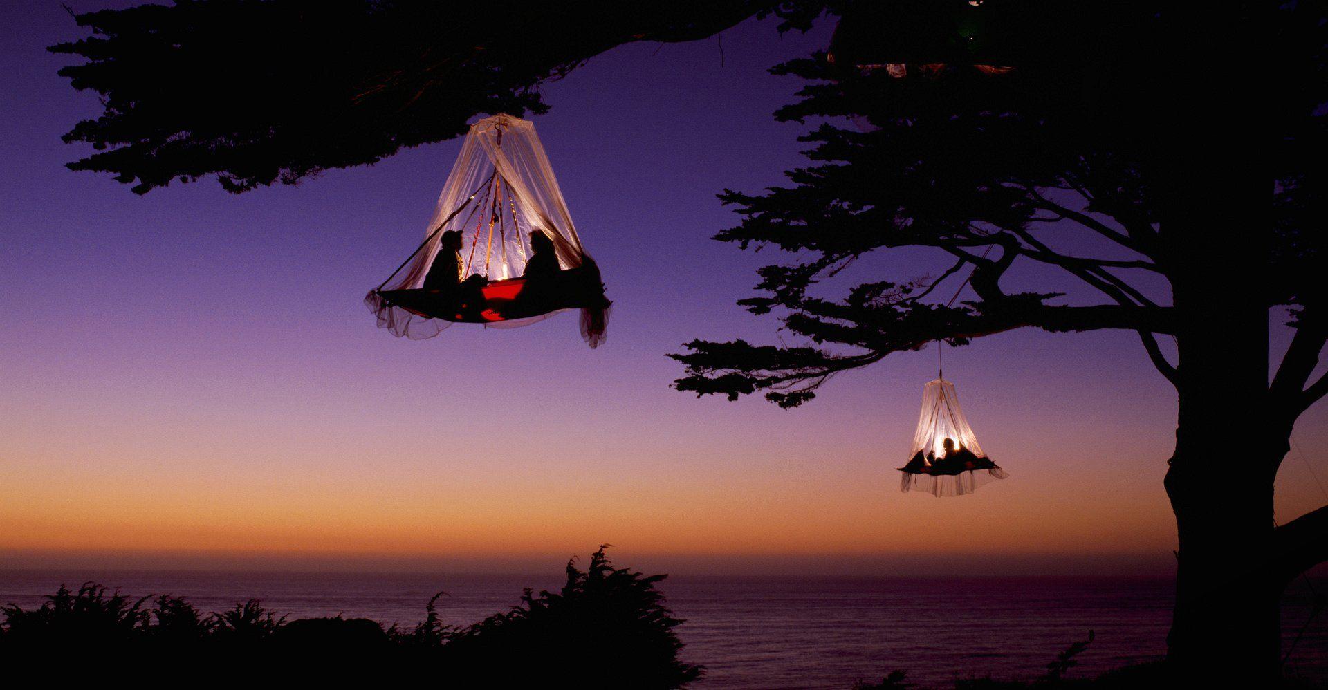 1920x998 Wallpaper Trees Tent x 998 Men Women Child Baby