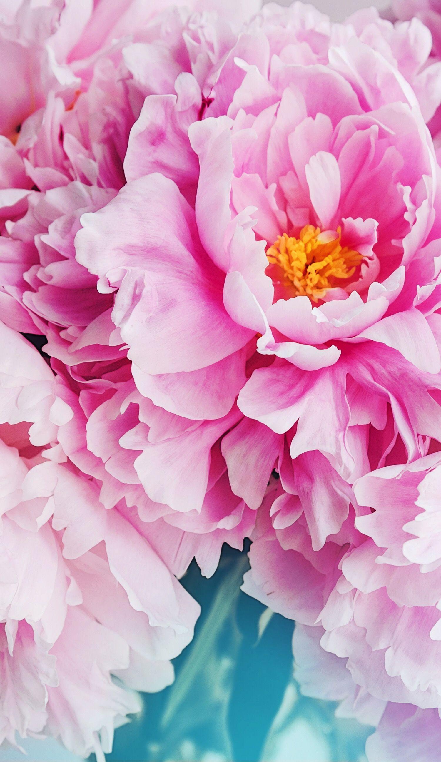 1500x2592 Floral. ♡ Wallpaper I Love ♡. Floral, Wallpaper
