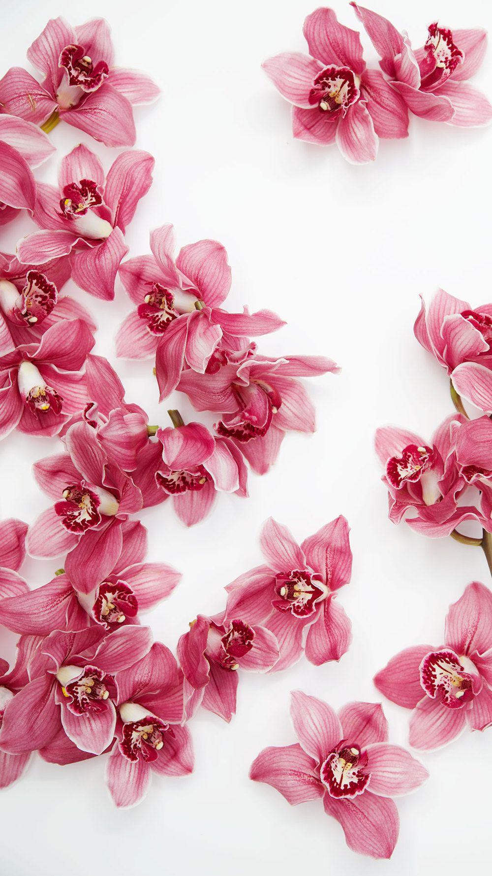 1000x1778 Free Floral Wallpaper and #capturingcolour • Spring Blooms • Capture