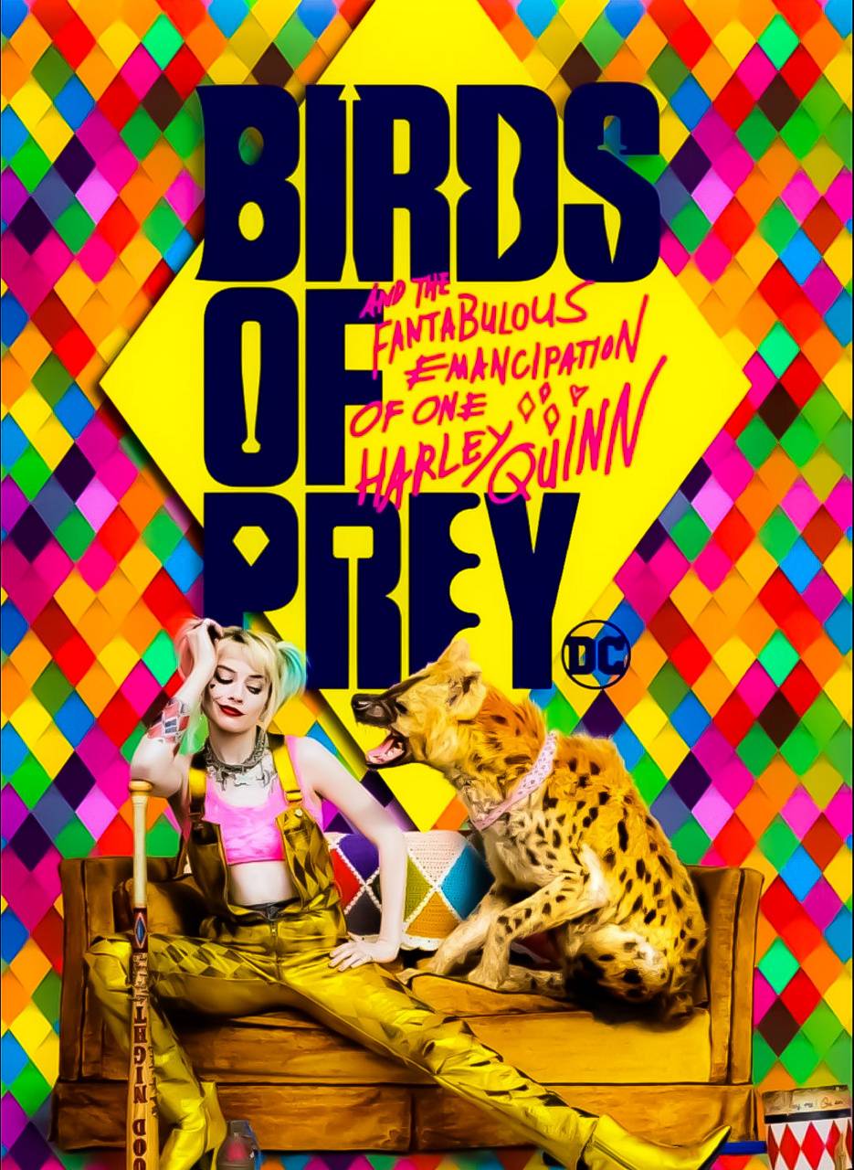 935x1280 Birds of prey wallpaper