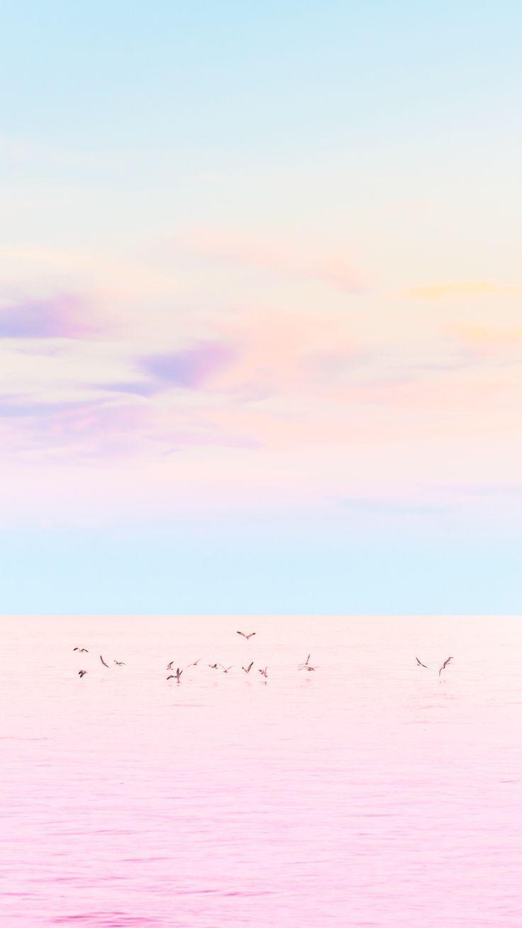 736x1308 Pastel Rainbow Tumblr Wallpaper On Wallpaper 1080p HD