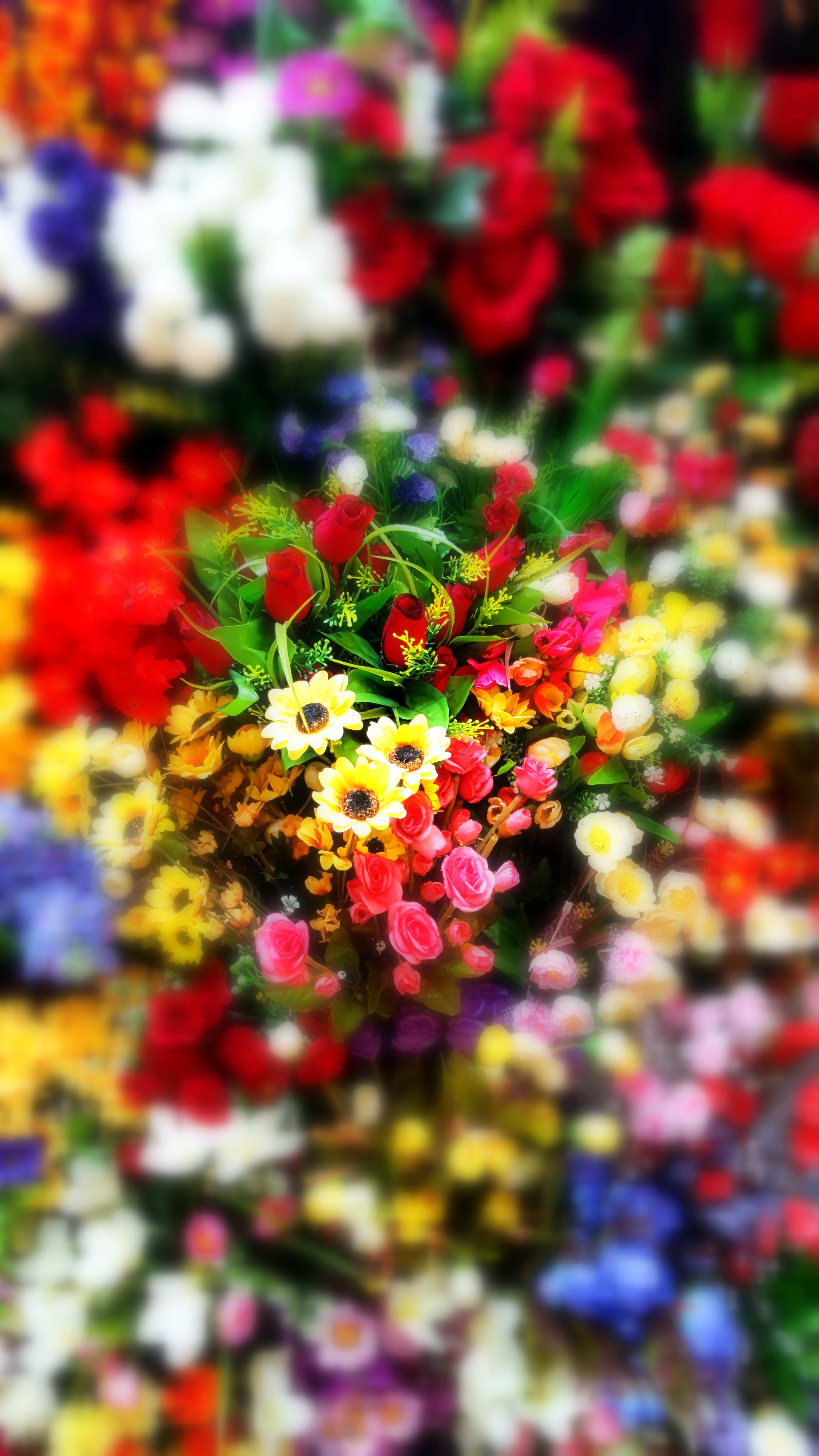Floral Phone Wallpapers Top Free Floral Phone