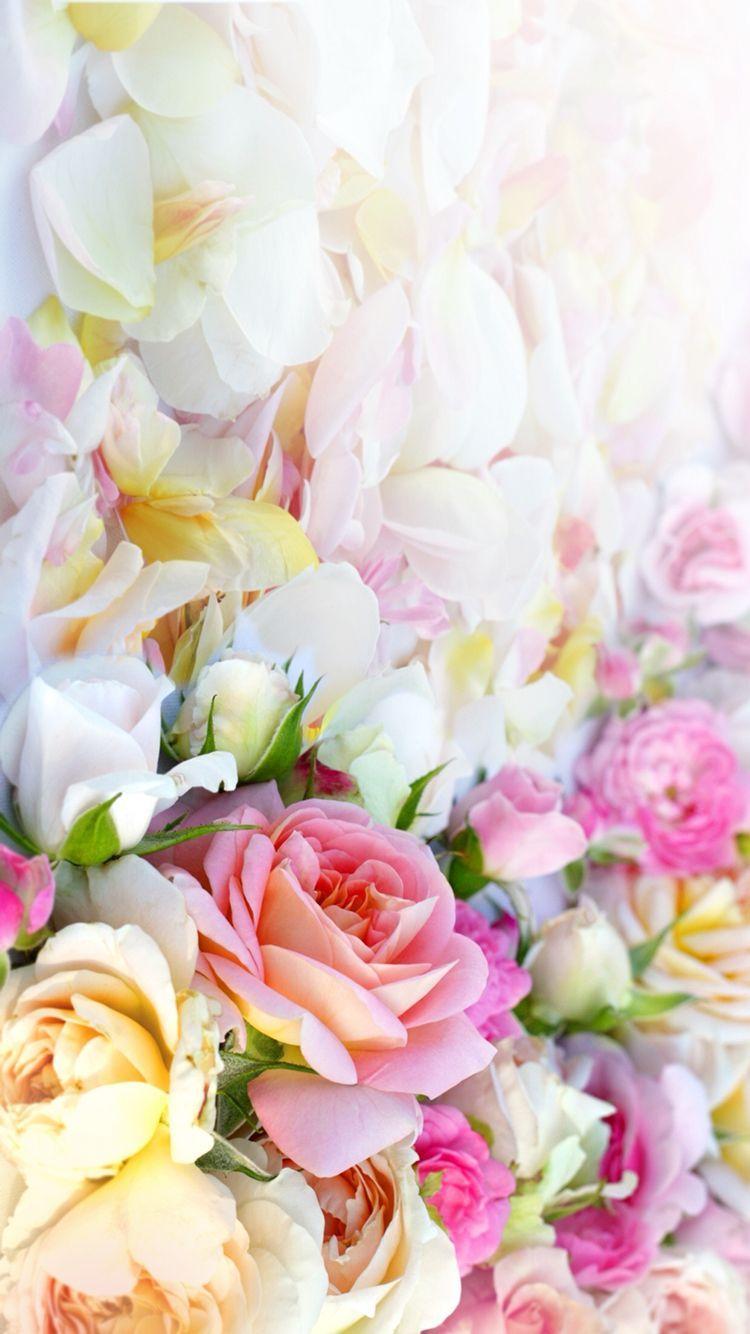 Featured image of post Iphone Wallpaper Pastel Iphone Aesthetic Flower Background - Flower hd phone wallpapers download free background images collection, high quality beautiful flowers wallpaper for your mobile phone.