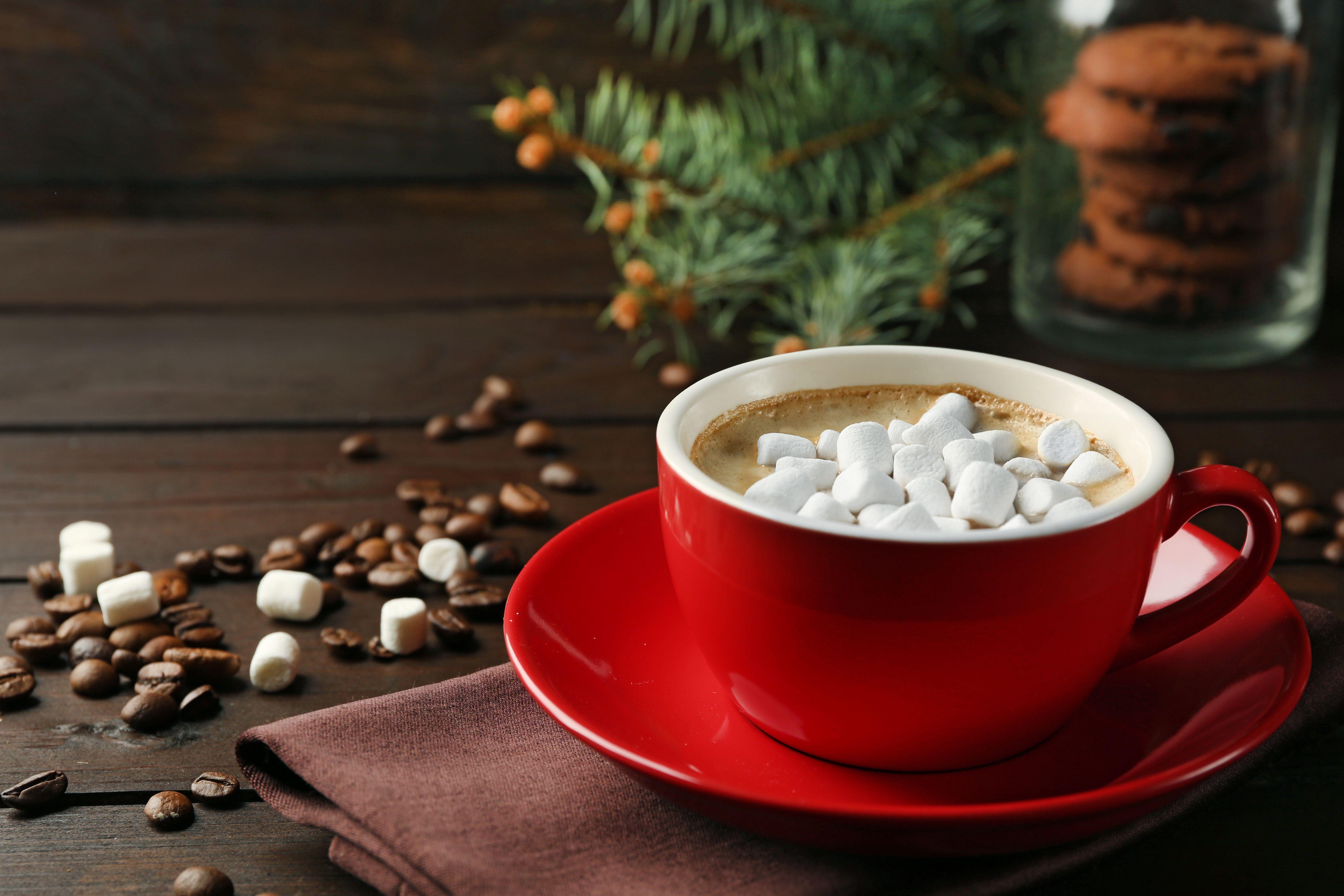 Wallpaper winter snow Cup cup Chocolate hot chocolate marshmallows  images for desktop section настроения  download