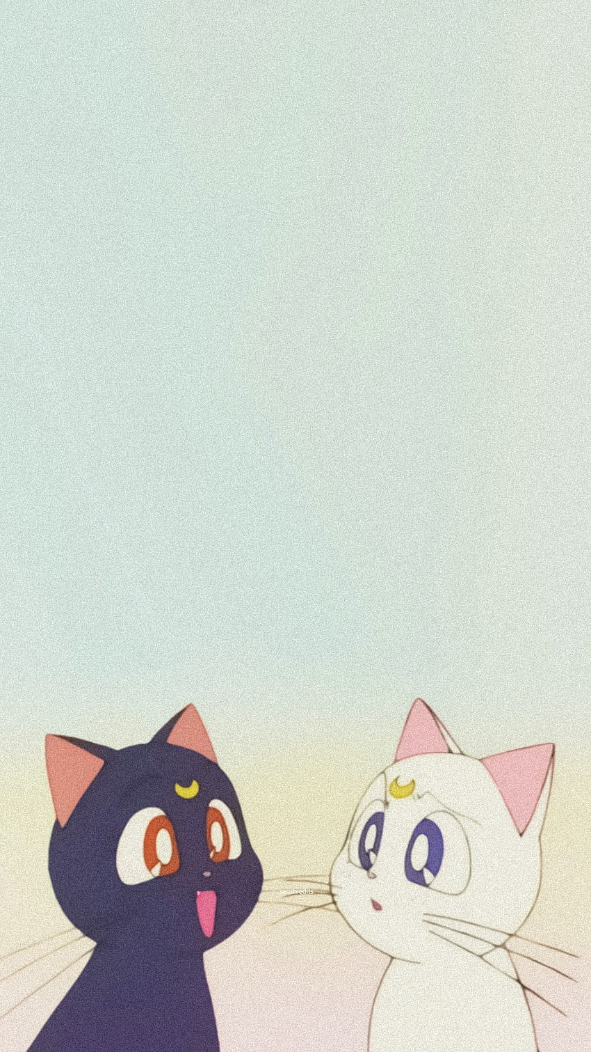 850x1511 ♡, sailor moon artemis HD phone wallpaper