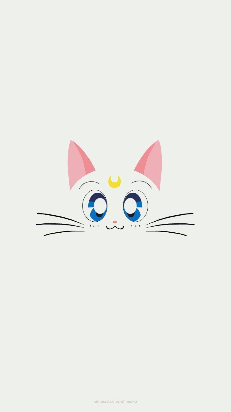800x1422 Sailor Moon Artemis Wallpaper