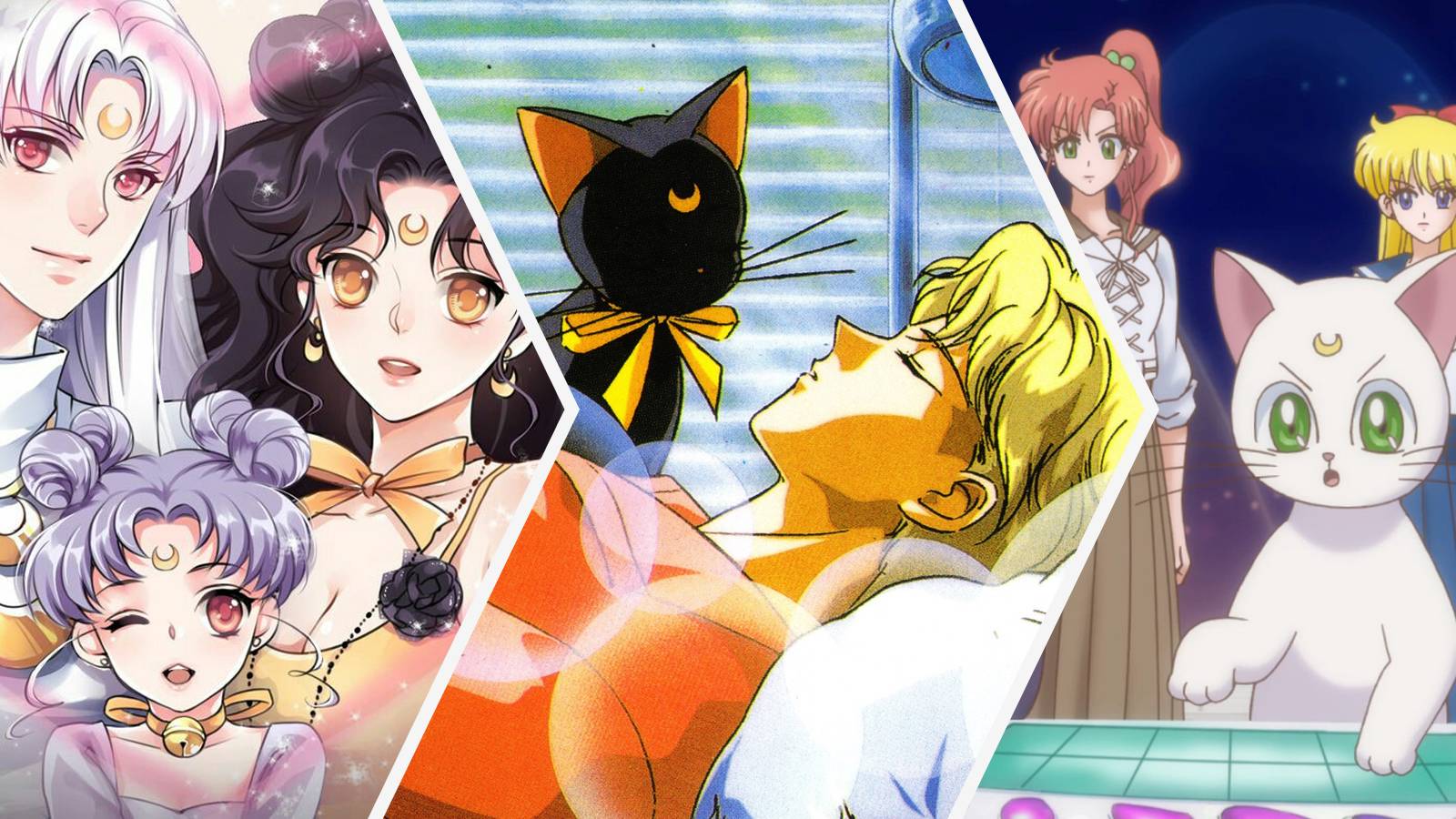1600x900 Sailor Moon: 19 Secrets About Luna And Artemis' Relationship