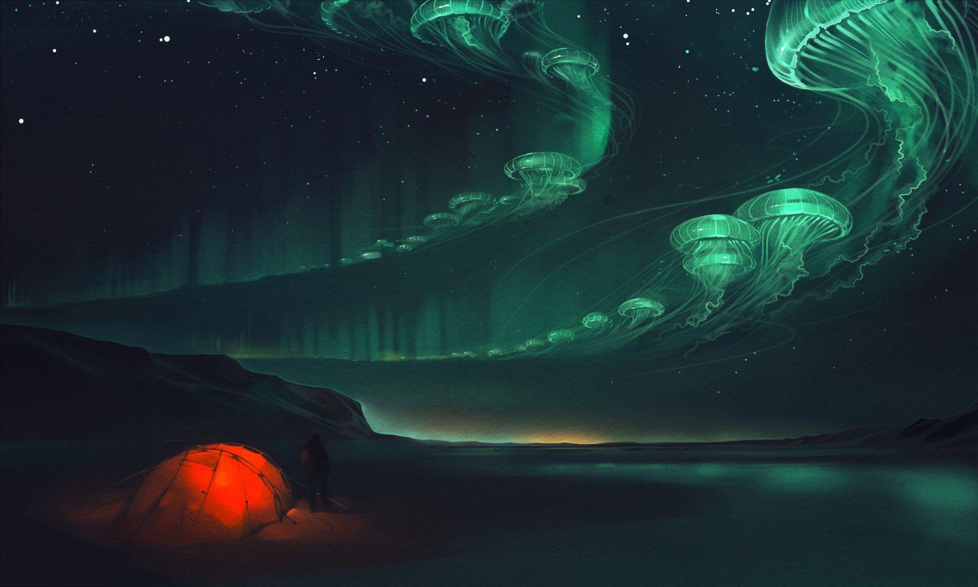 2000x1200 night tent lights jellyfish art HD wallpaper