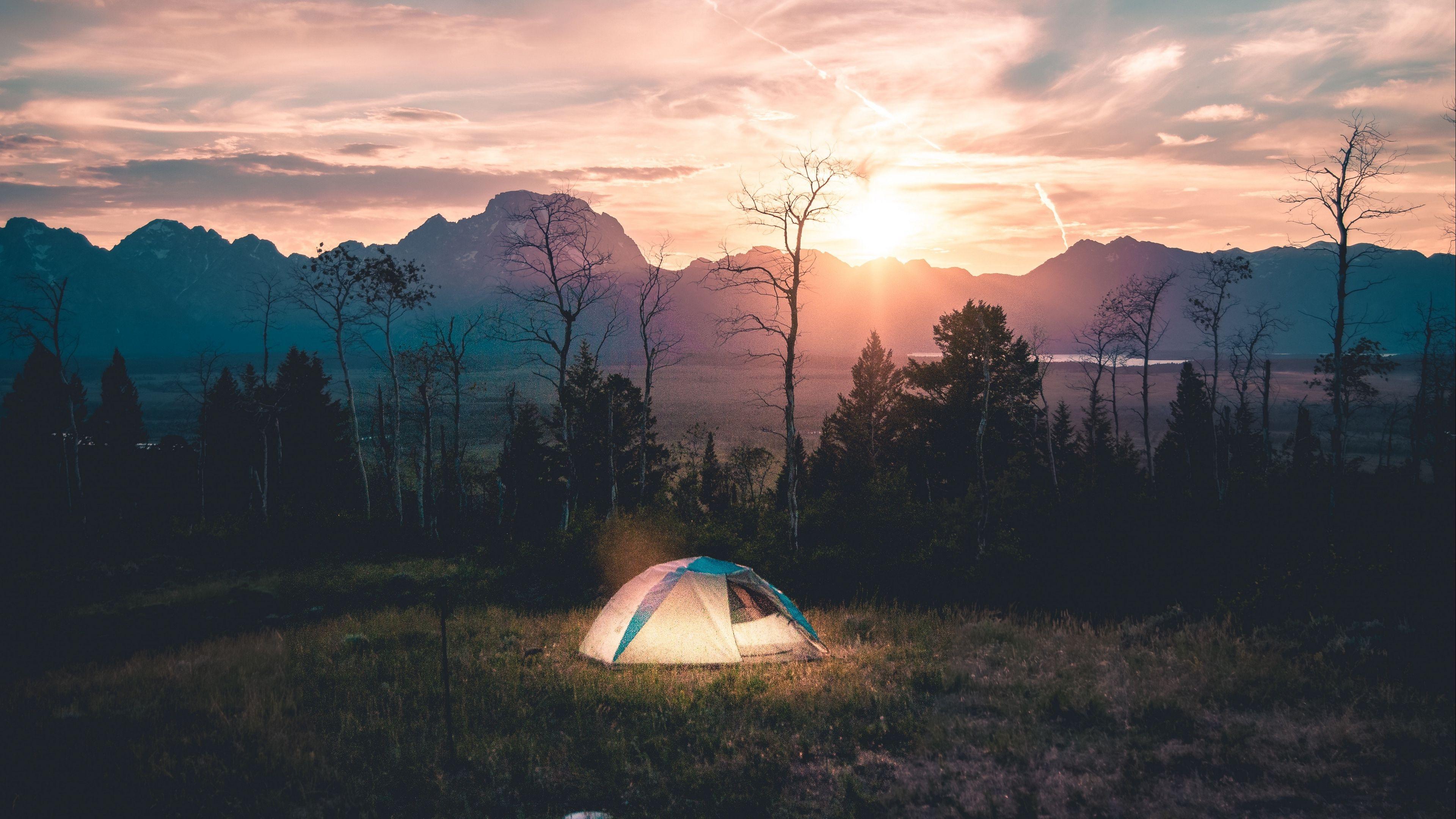 Camping Alone Bonfire Forest Tent Chillhop Lofi Scenery 4K Wallpaper iPhone  HD Phone 4420h