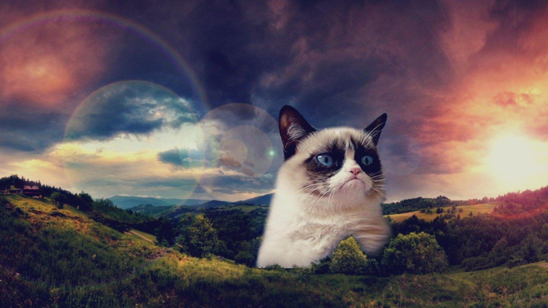 1920x1080 hipster wallpaper