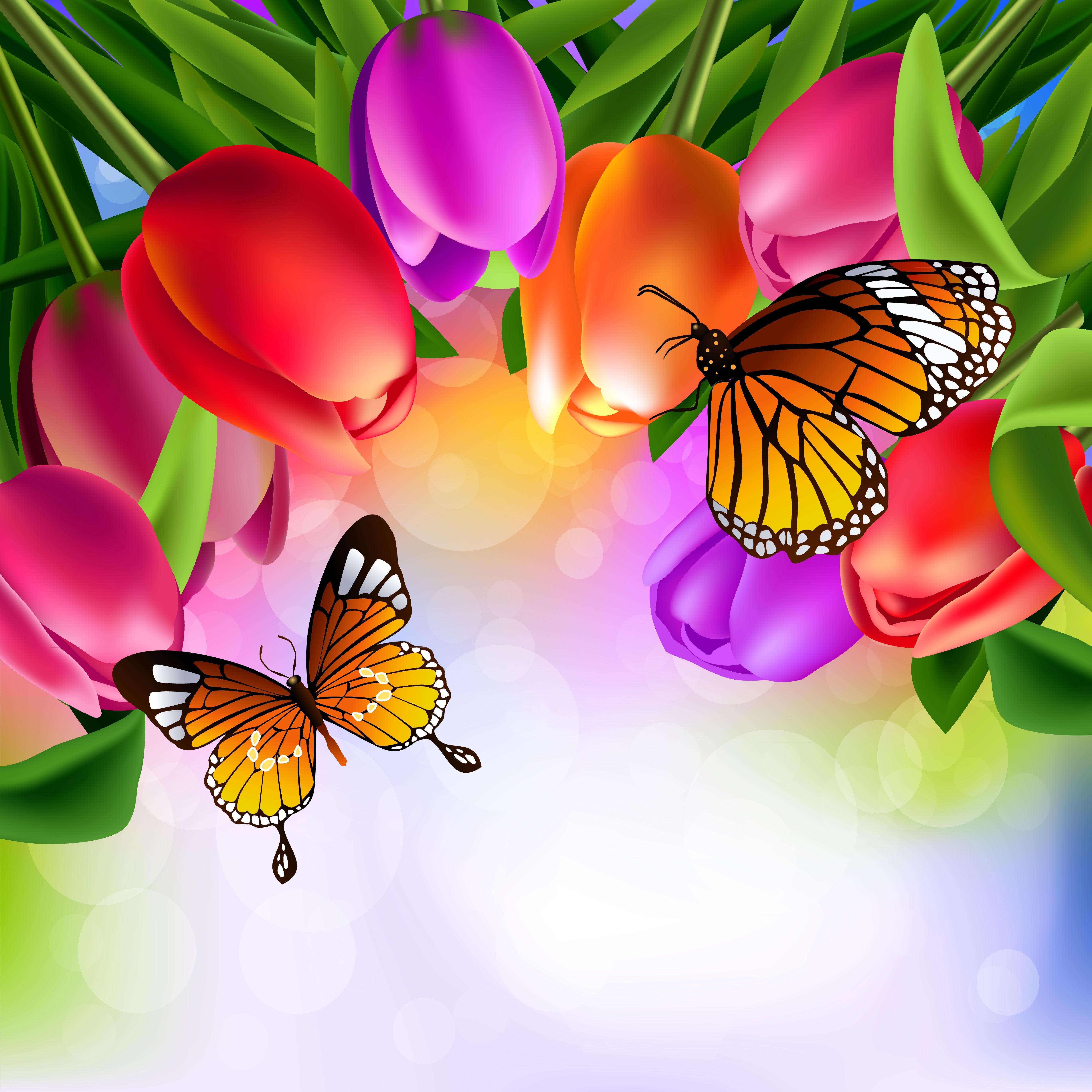 6000x6000 Wallpaper Monarch butterfly butterfly Tulips Animals 6000x6000
