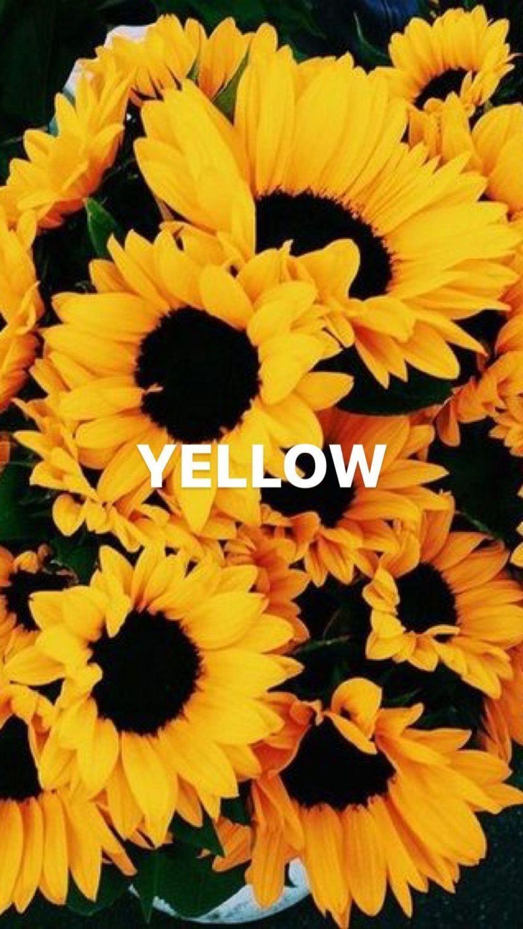 Hình nền HD 1080x1916 Yellow Aesthetic Sunflowers