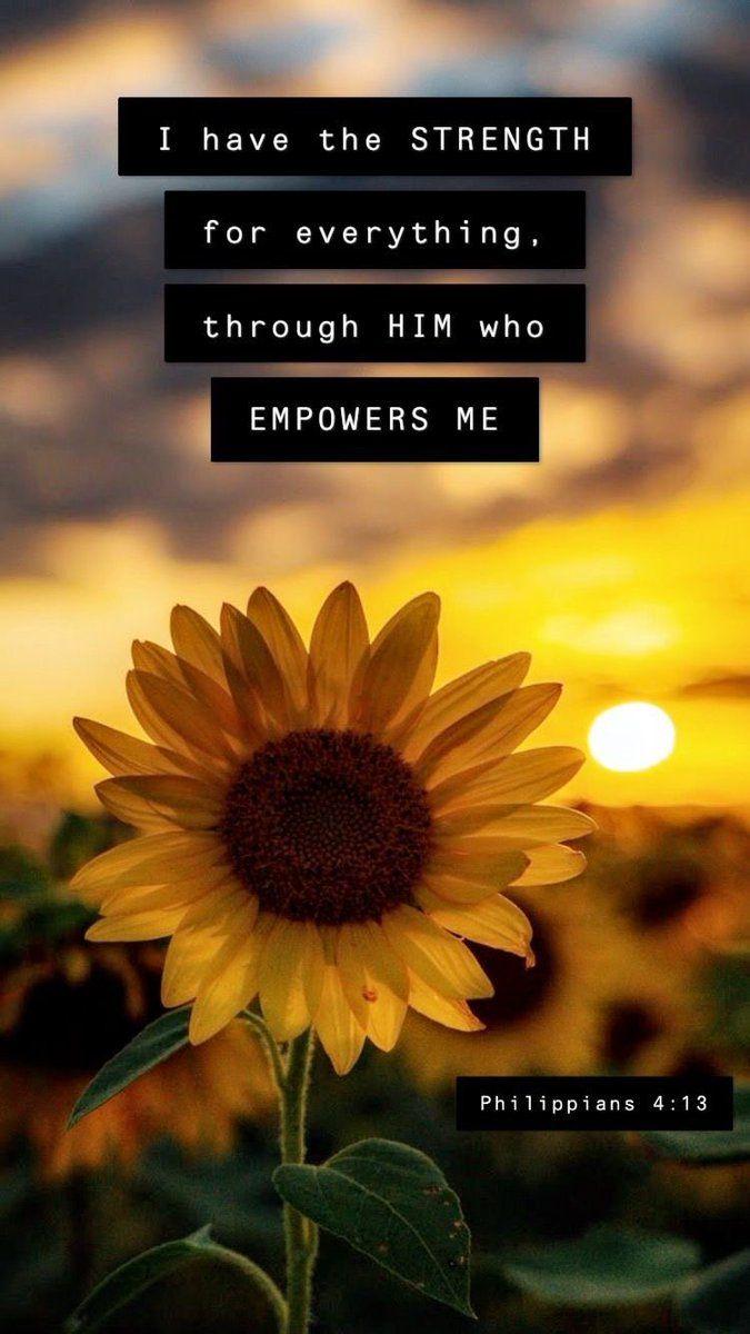 675x1200 Sunflower Aesthetic