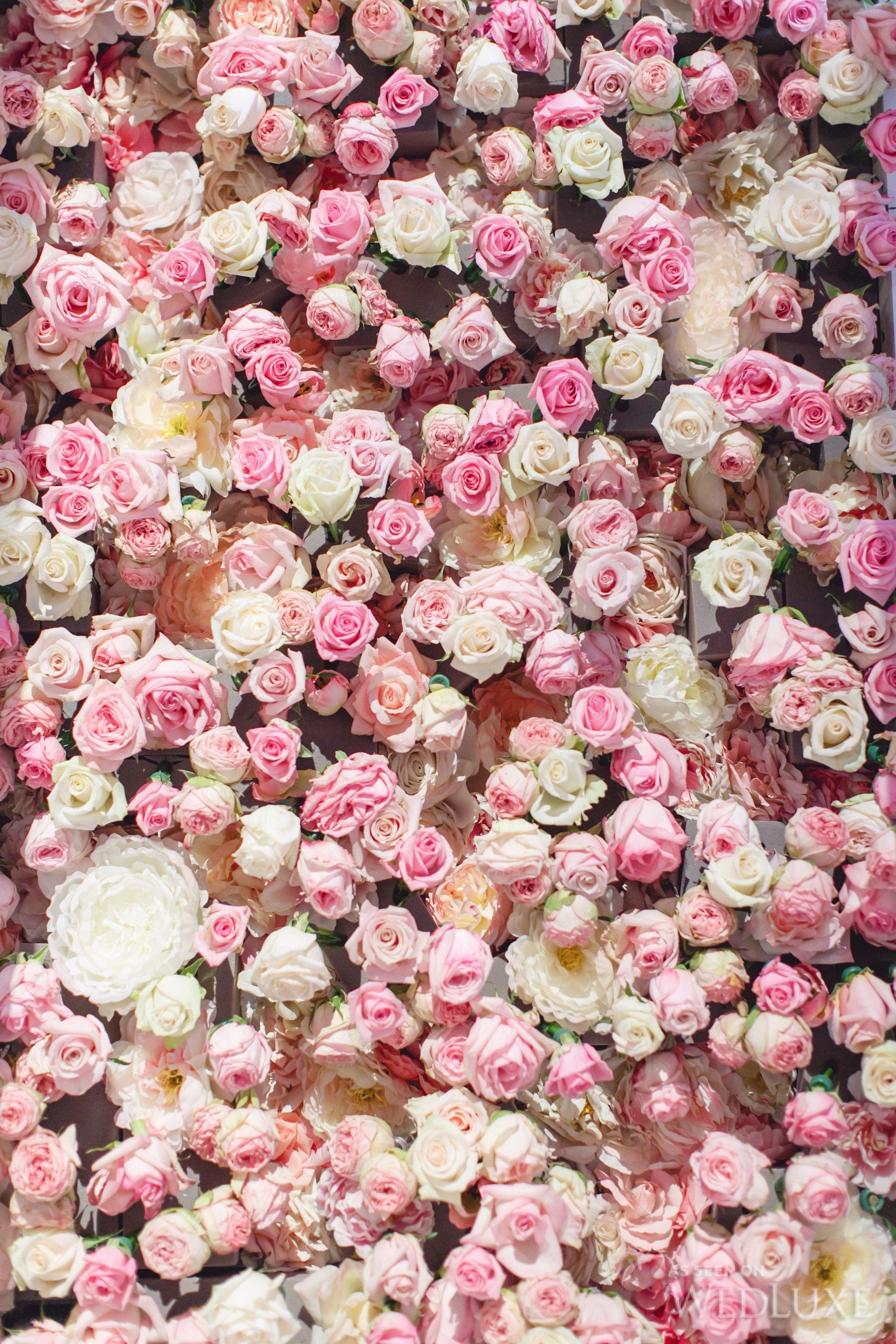 Pink Flowers Aesthetic Wallpapers - Top Free Pink Flowers Aesthetic