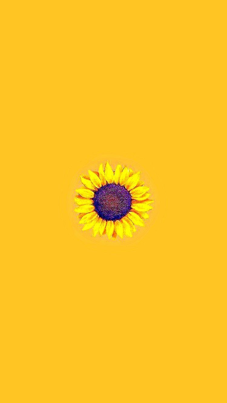 750x1331 Hình nền hoa hướng dương màu vàng thẩm mỹ