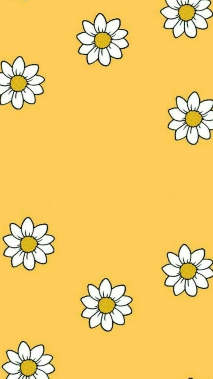736x1308 Pinterest Aesthetic Clipart Sunflower Hình nền iPhone