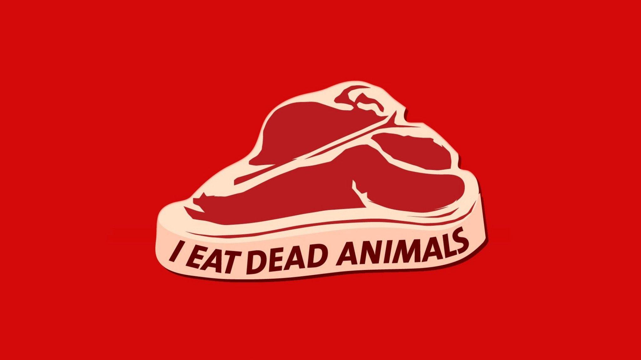 2048x1152 I Eat Dead Animals 15214 HD Wallpaper 2048x1152. Free Photo