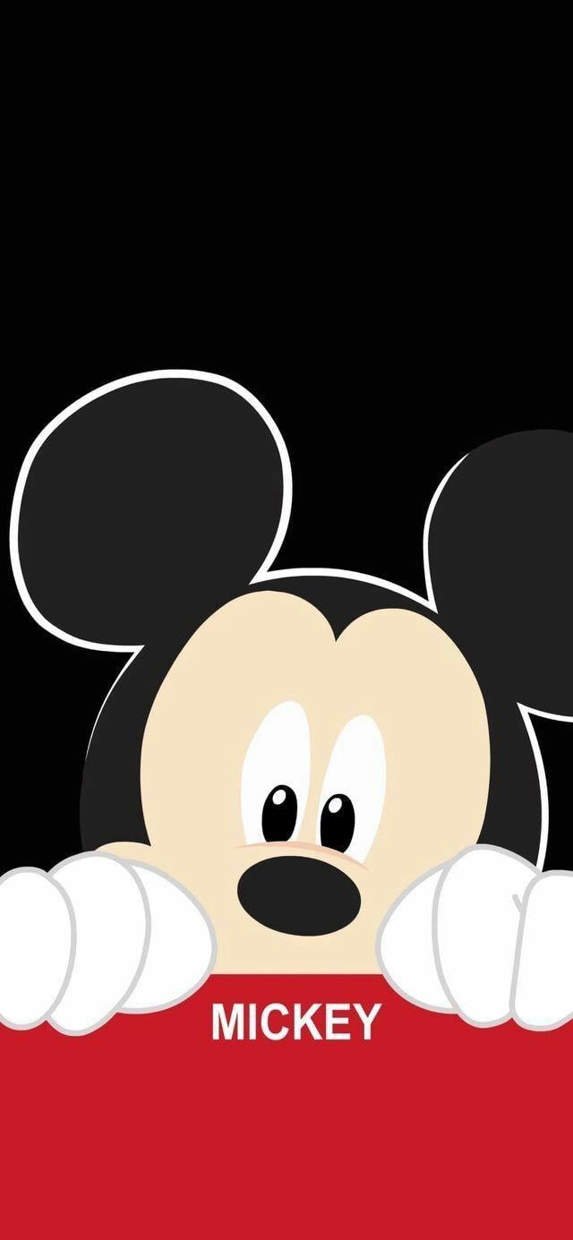 640x1385 Funny iPhone Wallpaper