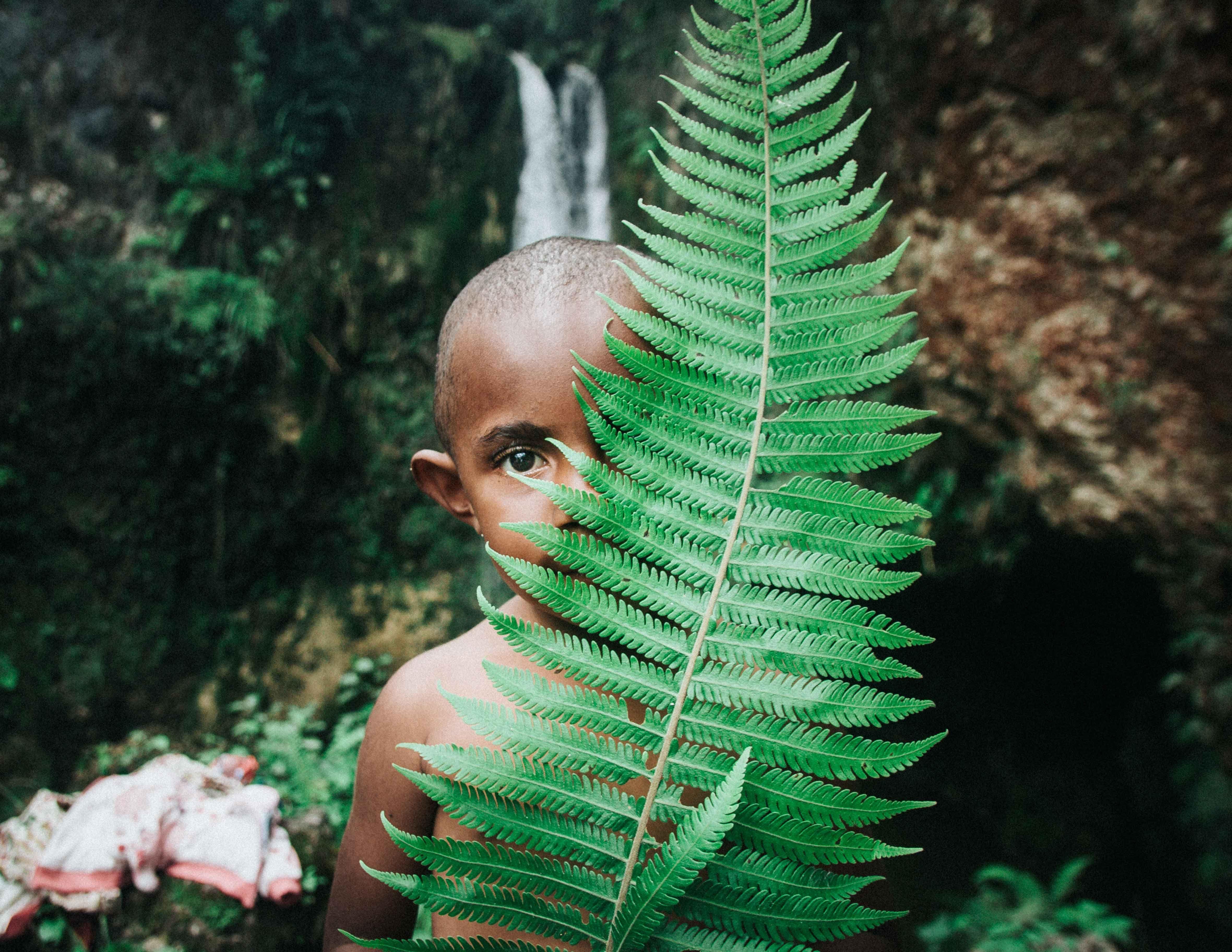 4721x3648 4721x3648 #african american, #fern, #eye, #greenery