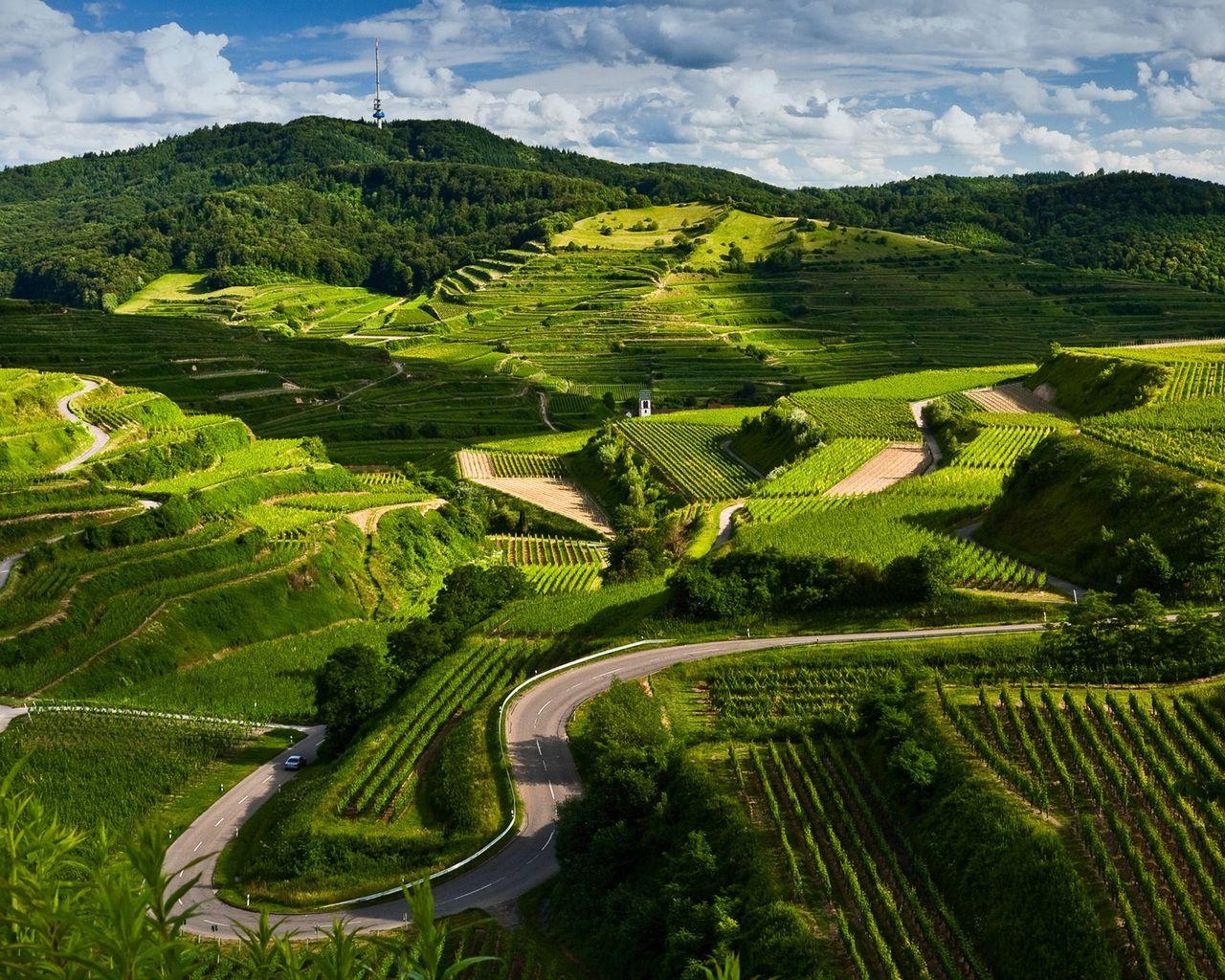 Green VSCO Wallpapers Top Free Green VSCO Backgrounds WallpaperAccess