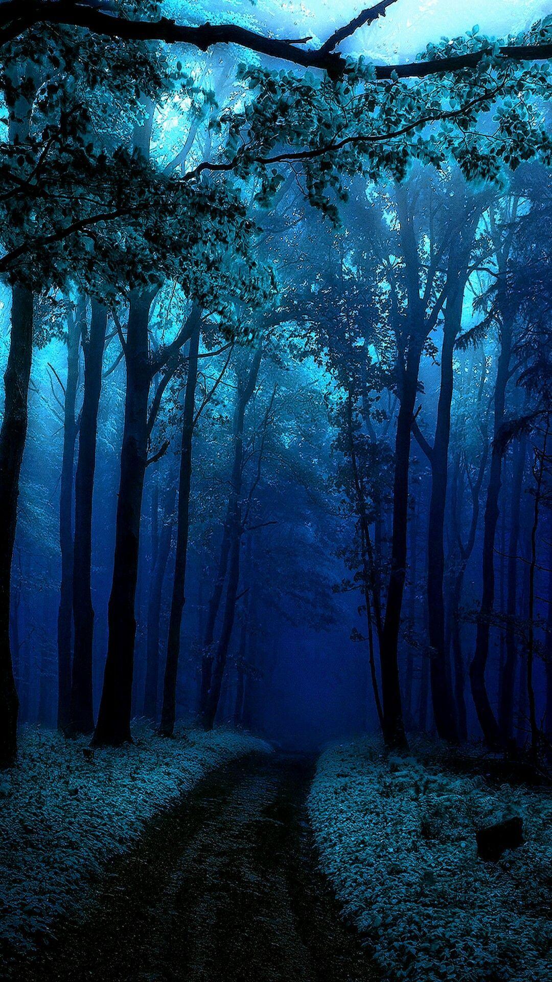 nature blue trees