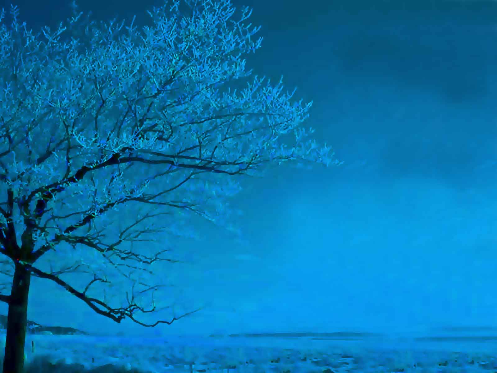 Blue Trees Wallpapers - Top Free Blue Trees Backgrounds - WallpaperAccess