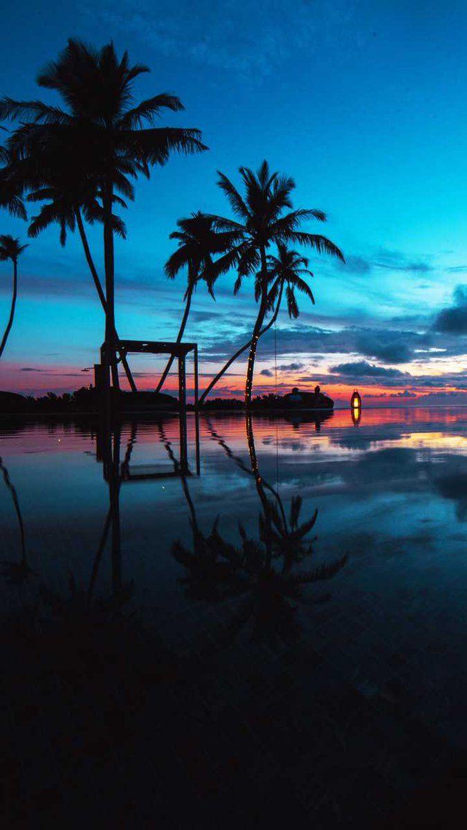 675x1200 QHD Wallpaper