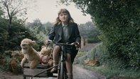 1920x1080 Christopher Robin 2018 4K 8K HD Wallpaper