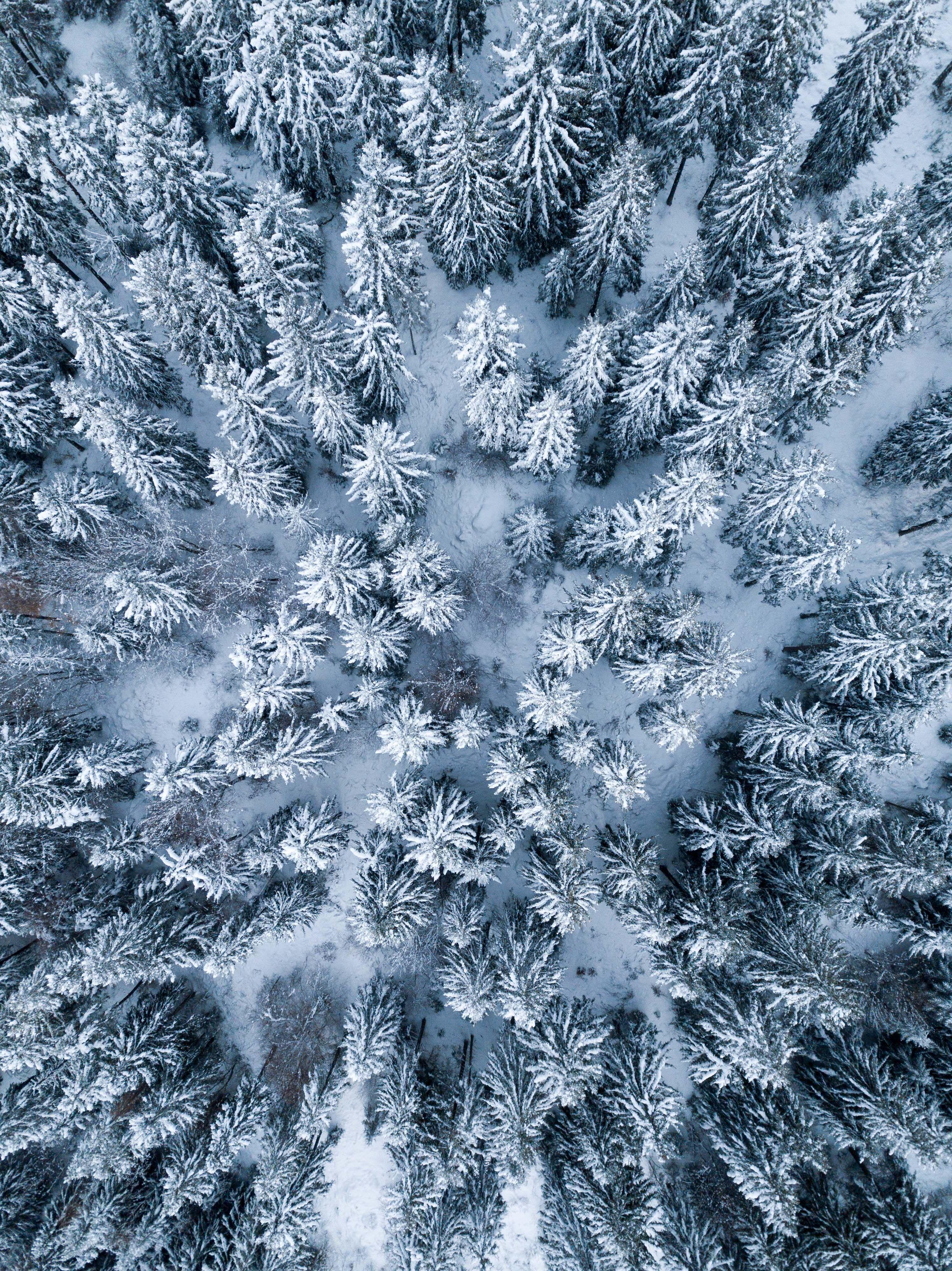 Ipad Pro 10 5 Wallpapers Top Free Ipad Pro 10 5 Backgrounds Wallpaperaccess