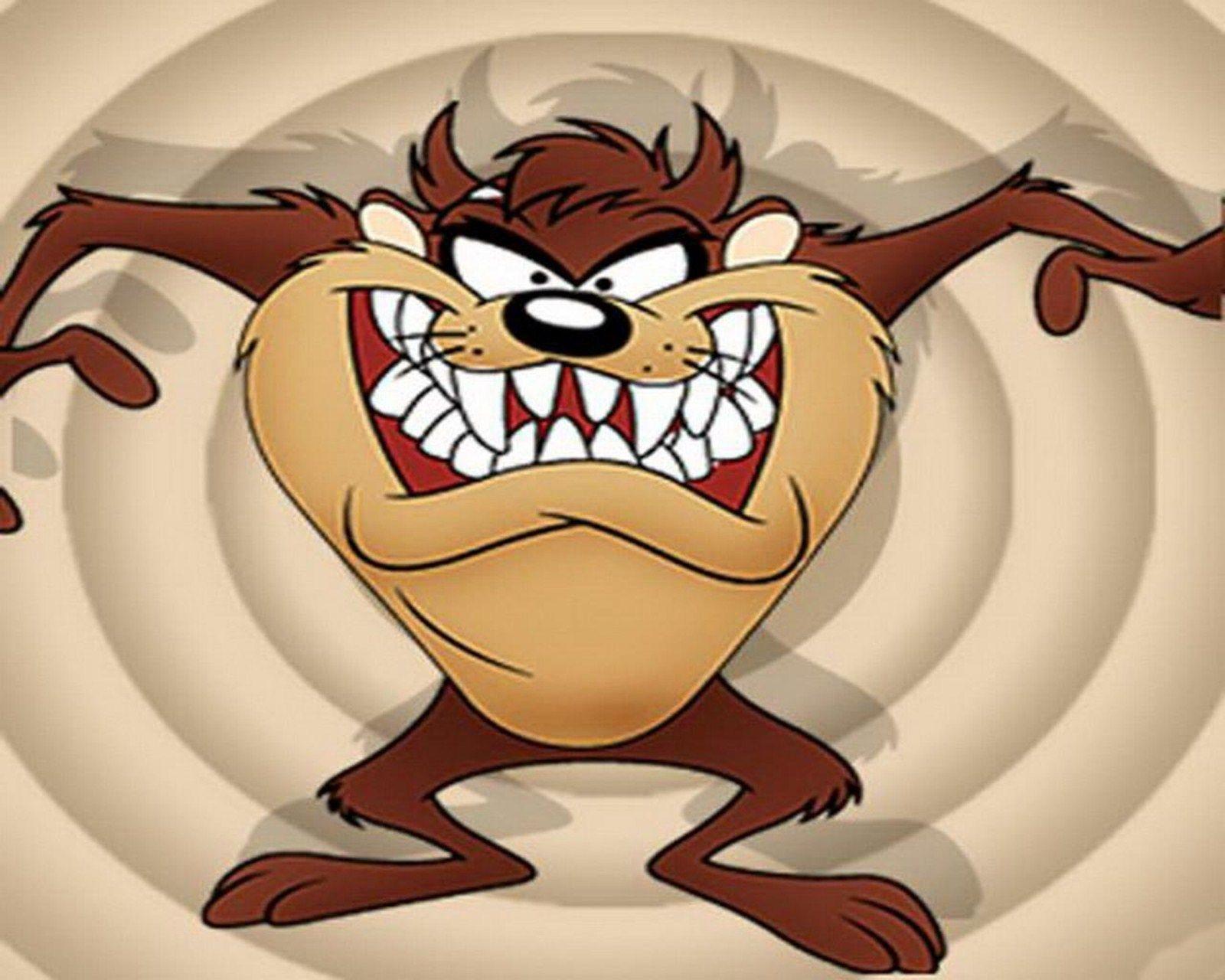 Tasmanian Devil Wallpapers Top Free Tasmanian Devil Backgrounds 