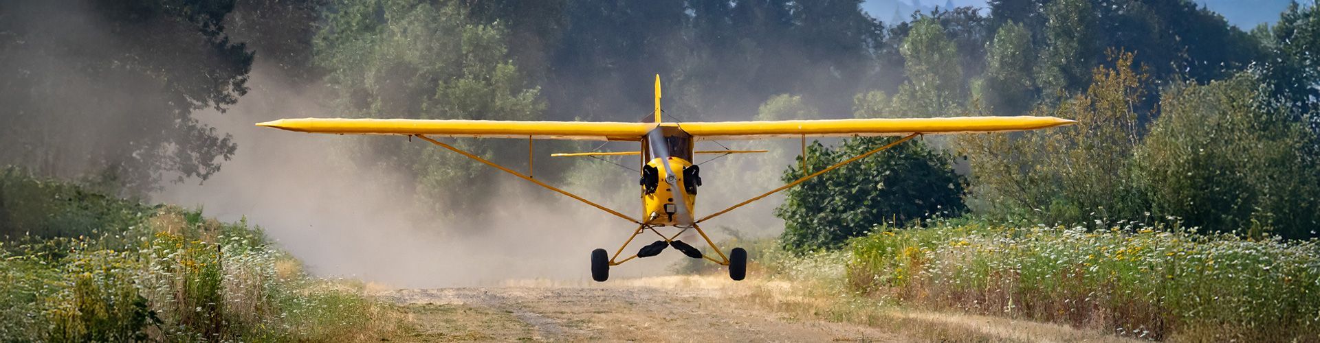 1920x500 Piper Cub Aircraft Insurance