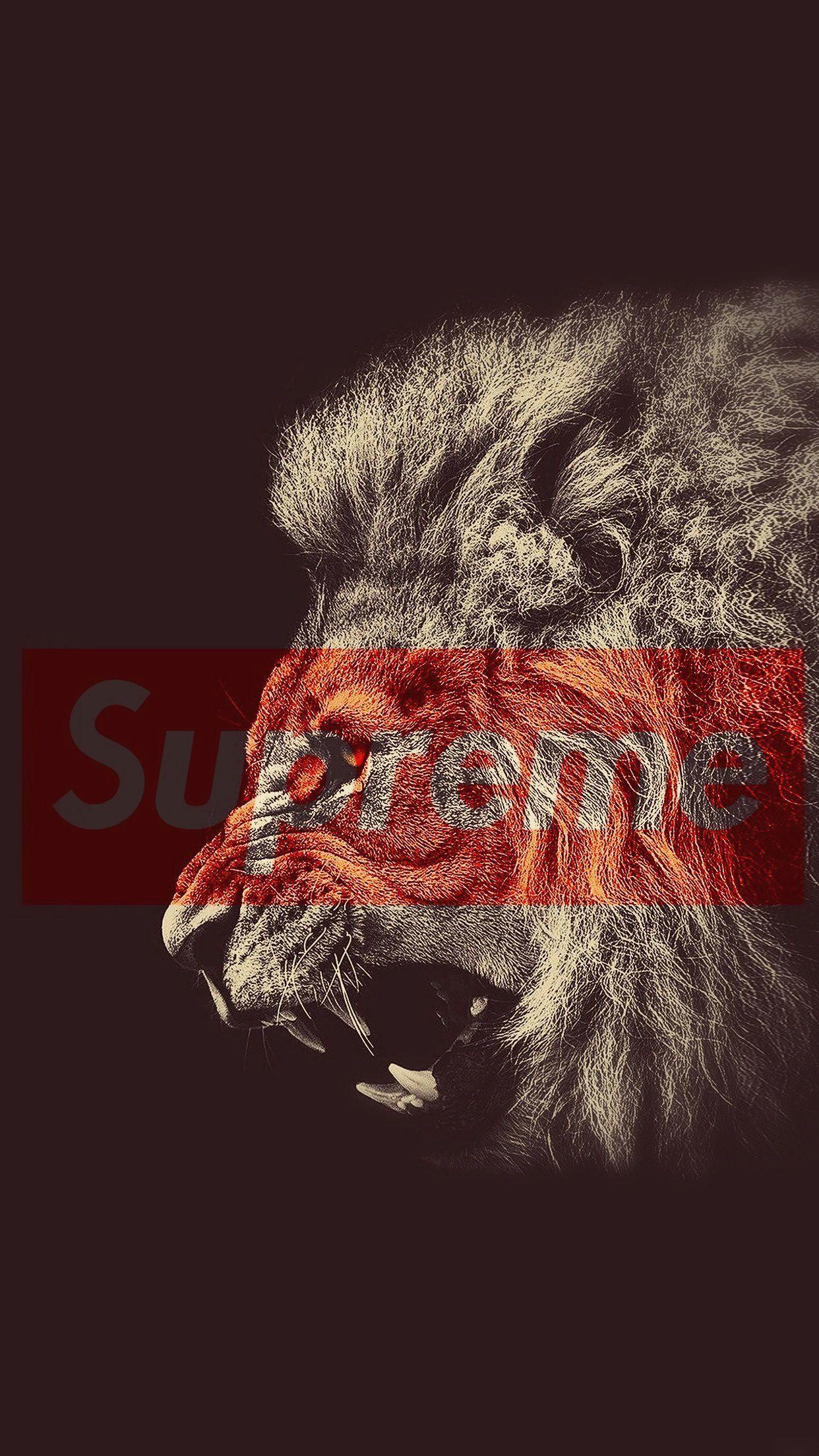1242x2208 Lion Wallpaper iPhone HD