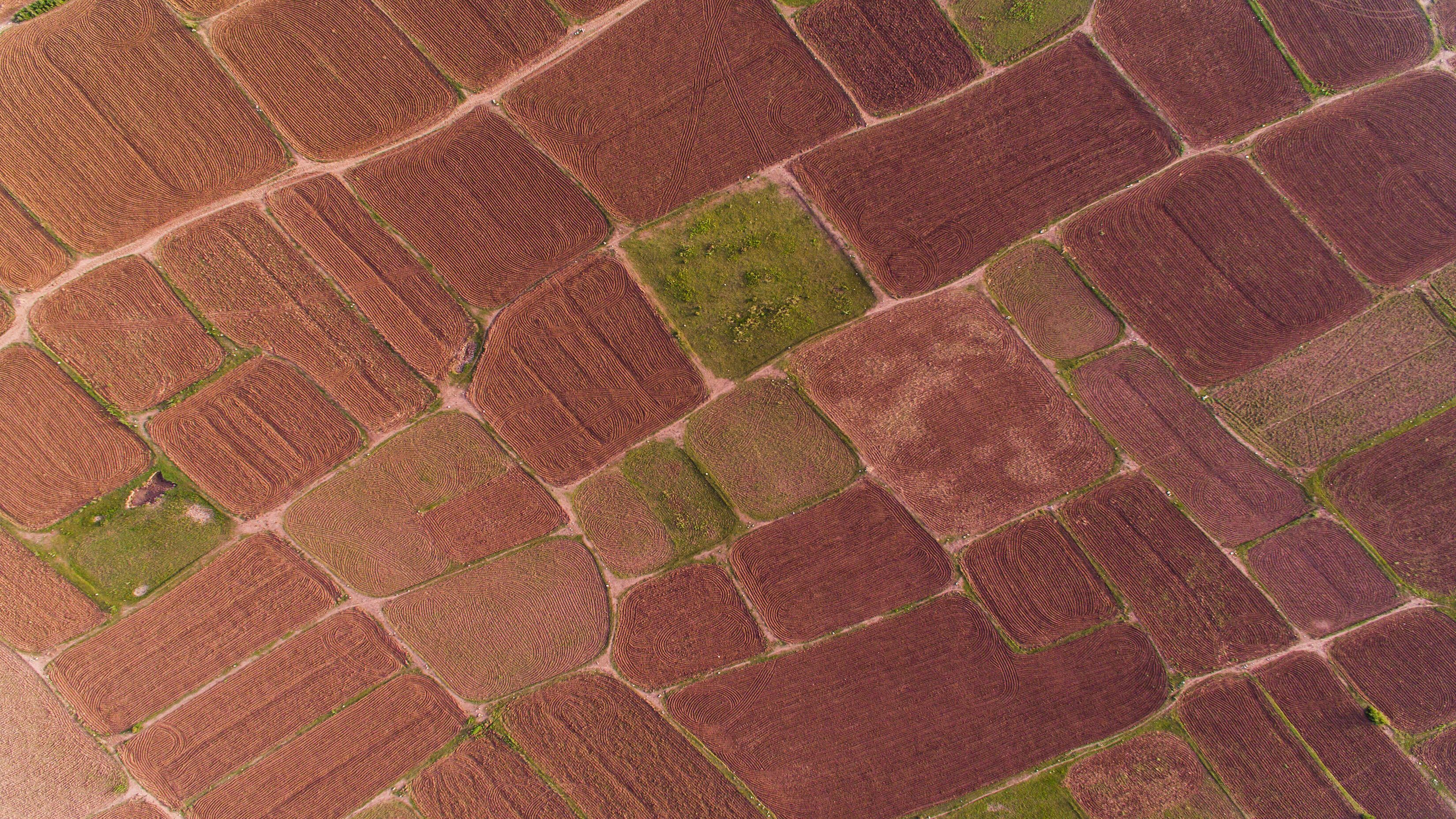 3300x1856 Microsoft HD Windows 11 Stock Aerial Farm Shot Brown Purple Tone Fields