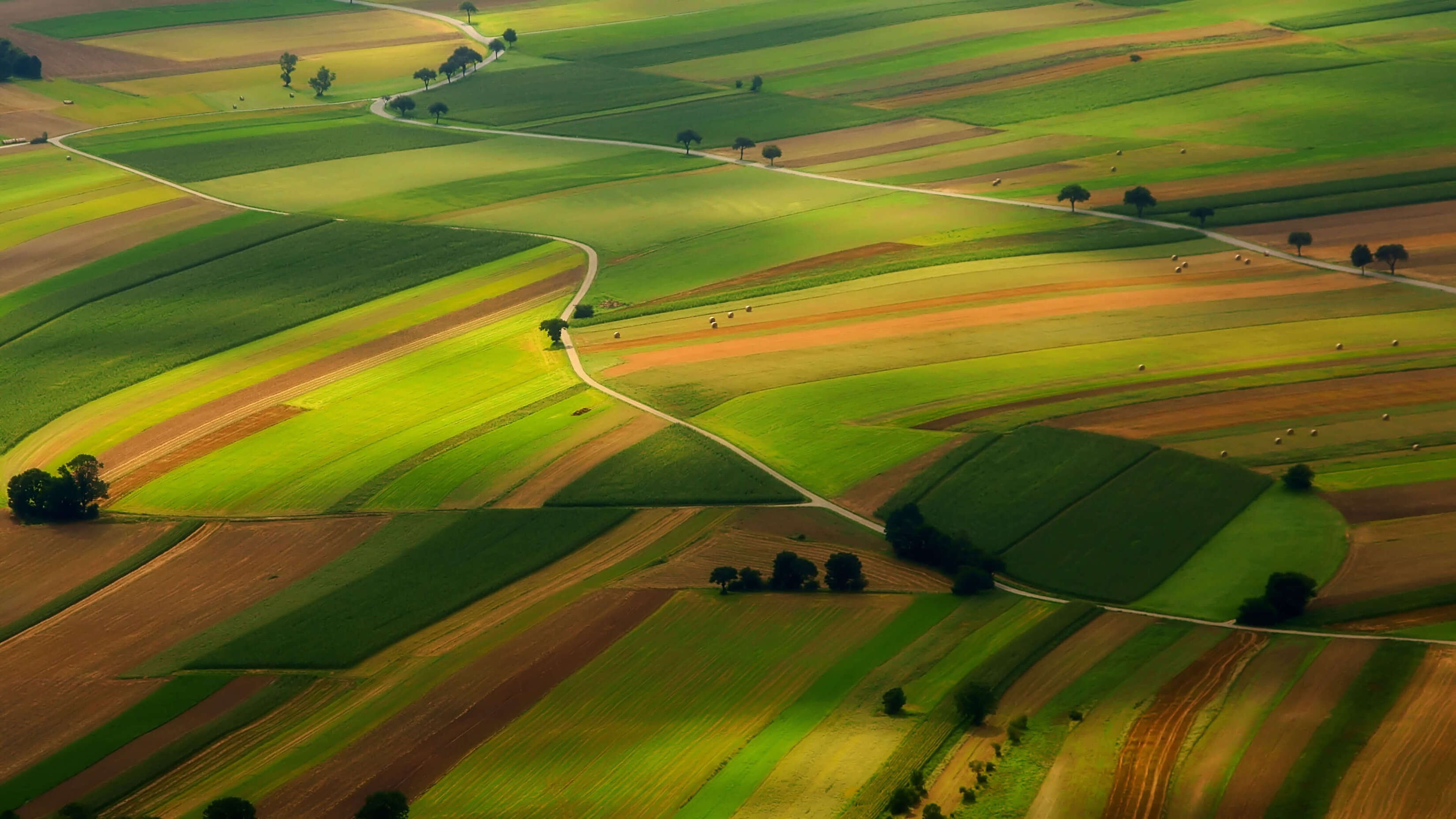 3300x1856 Microsoft Windows 11 Stock Aerial Farm Shot Green And Brown Rolling Pastures Of Grass