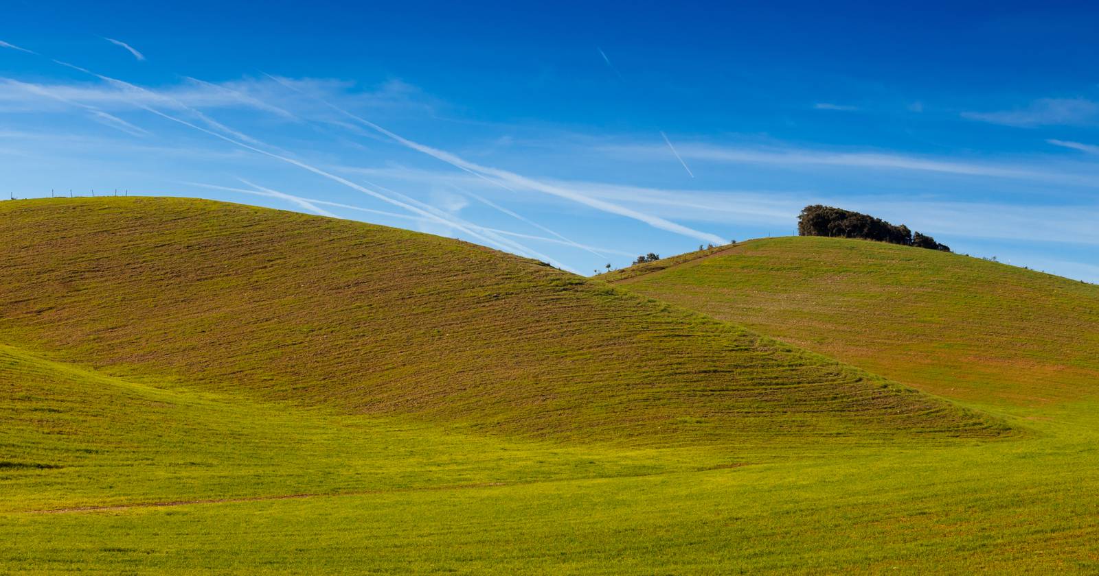 1600x840 How to Set Your Wallpaper to Windows Spotlight Image on Windows 11
