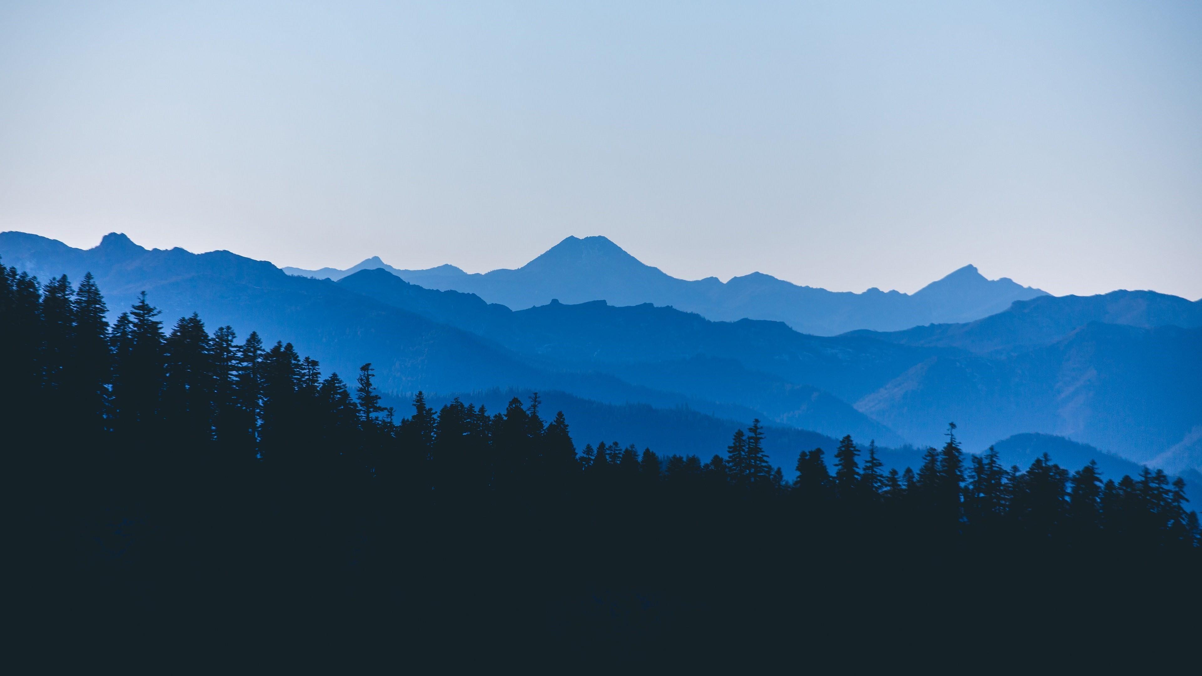 3840x2160 Forest Silhouette Wallpaper. Wallpaper Studio 10