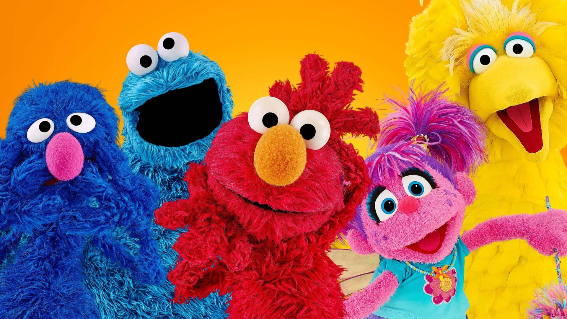 1920x1080 Download All your favorite Sesame Street characters come together in one spot!