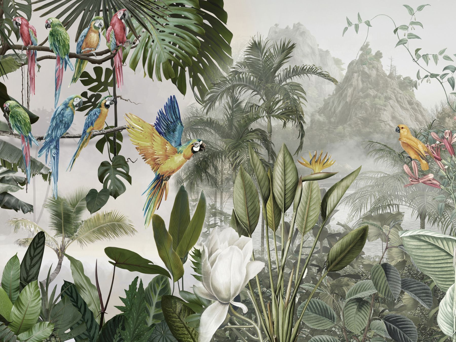 1800x1350 Wall Murals with Birds Parrots in the rainforest Nr. u95693