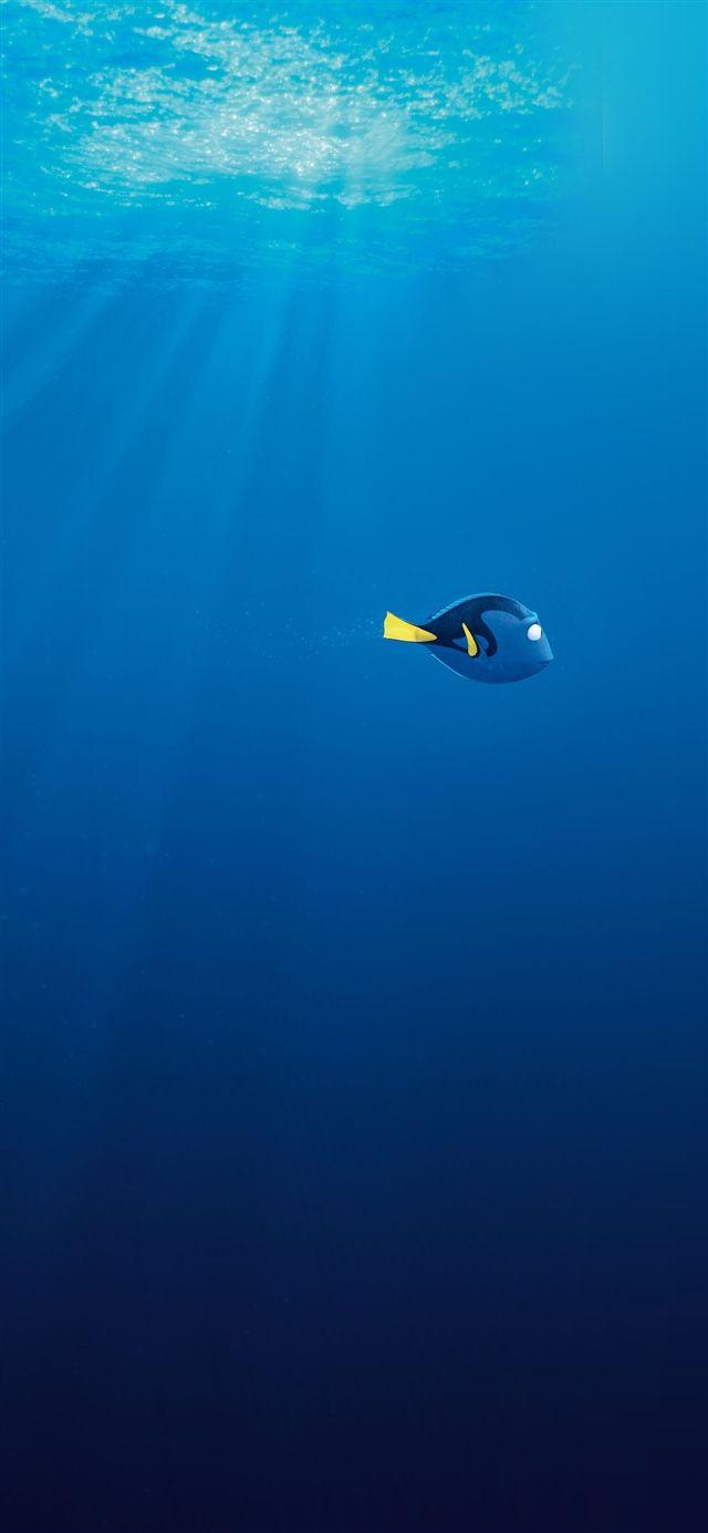 640x1385 Finding dory disney iPhone X Wallpaper Free Download