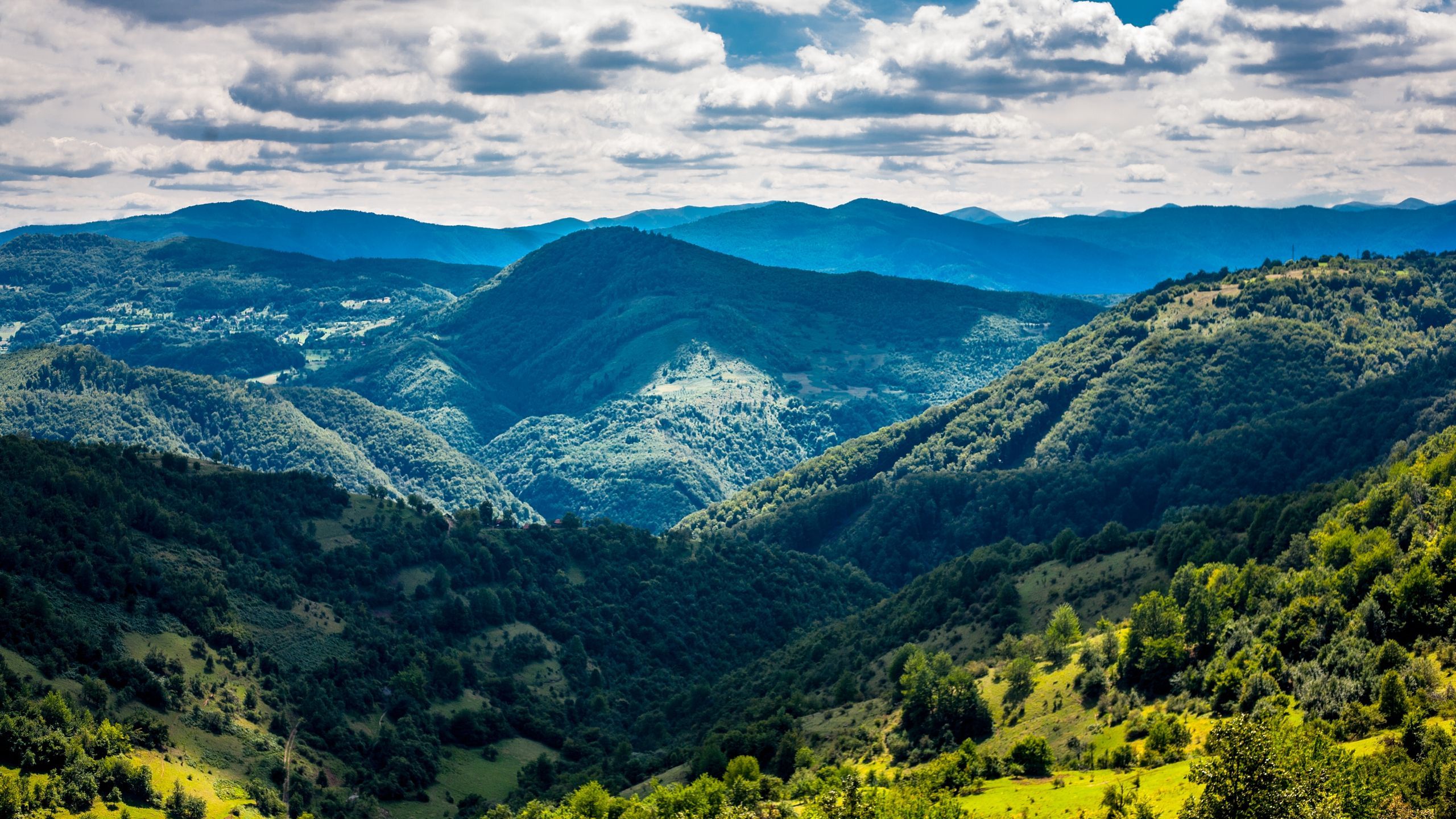 2560x1440 Bosnian Hillside Forest: Stunning Nature Landscape HD Wallpaper