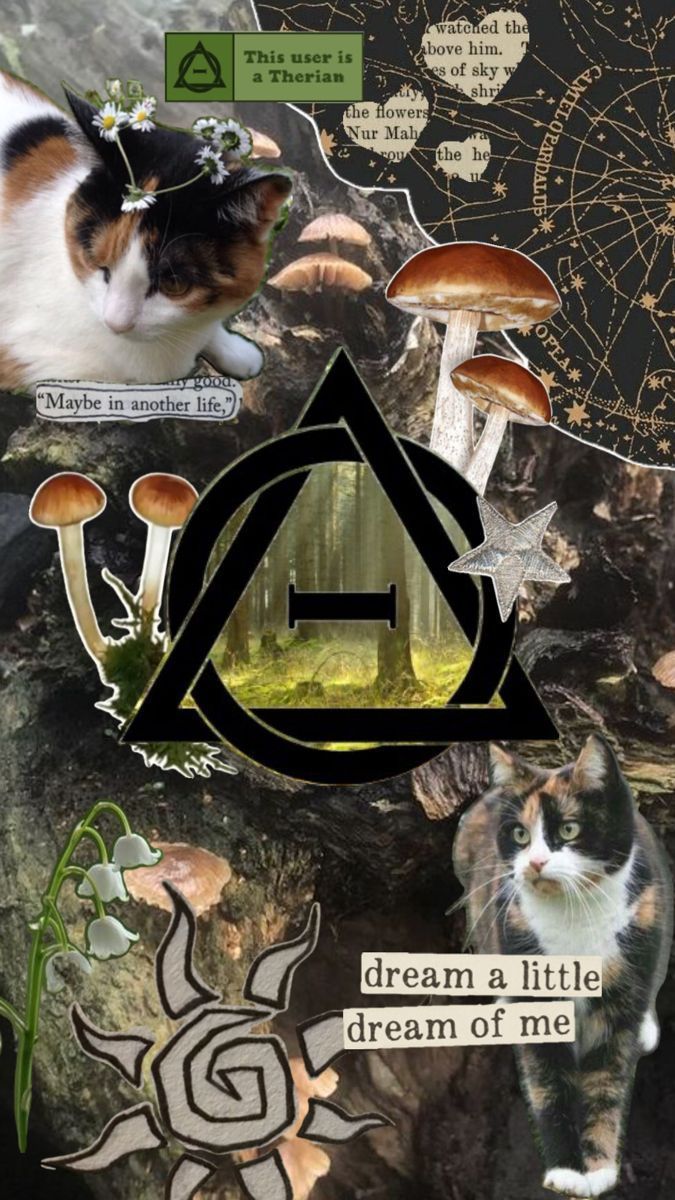 675x1200 made by me <33 please don't repost but feel free to use as a wallpaper!!